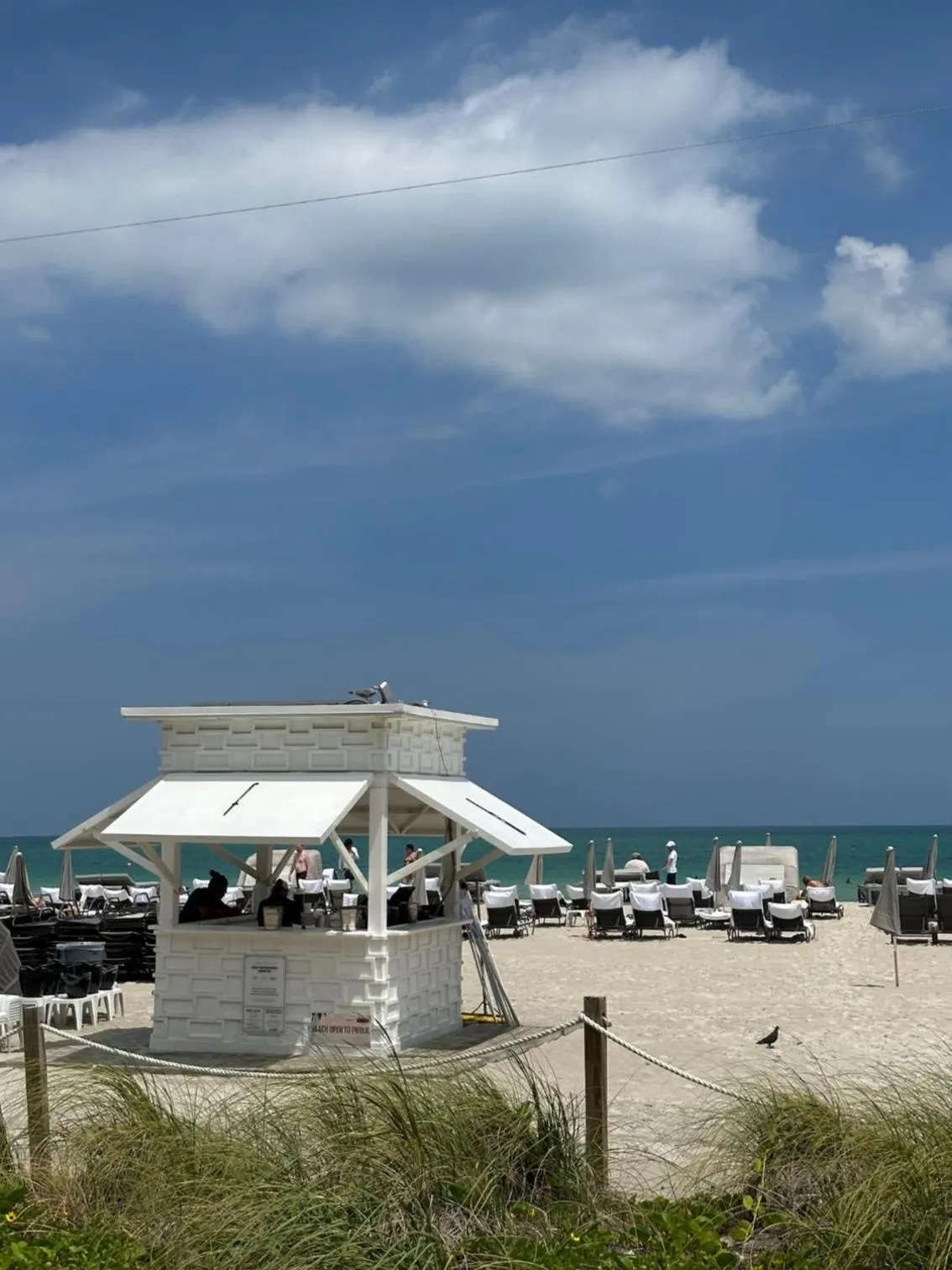 Fontainebleau Miami Beach,Tresor