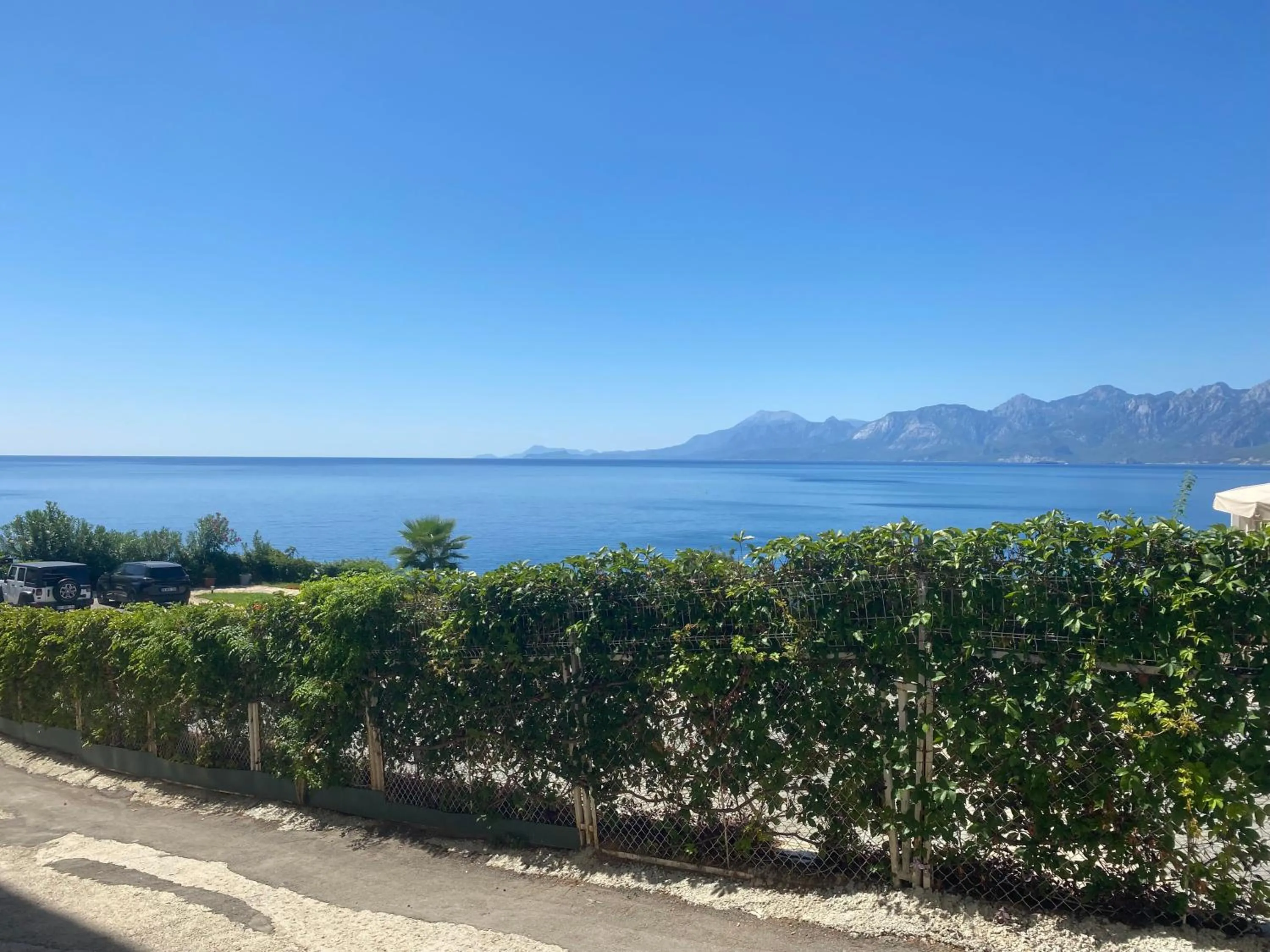 Spring in İn The Middle Hotel