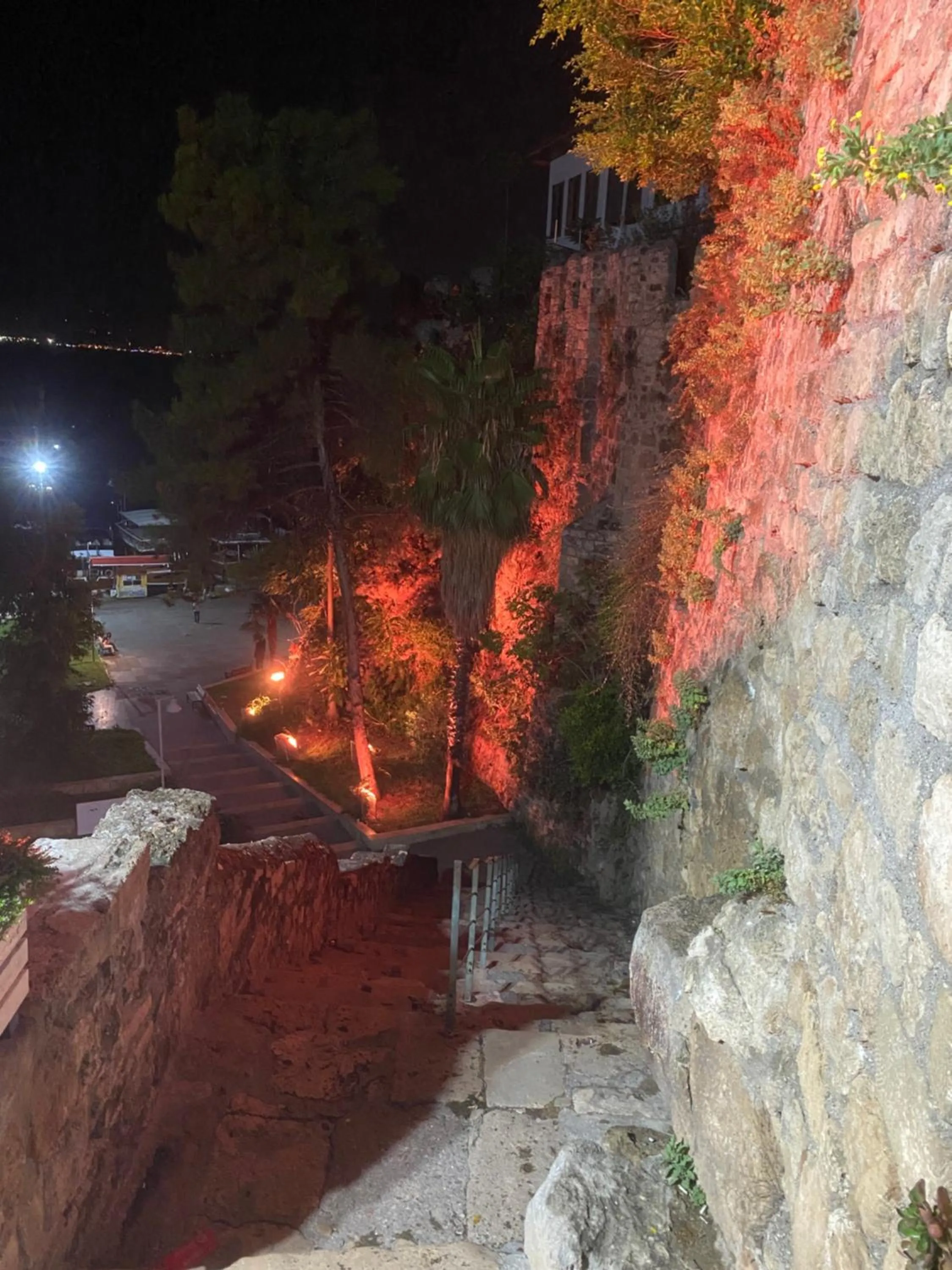 Night in İn The Middle Hotel