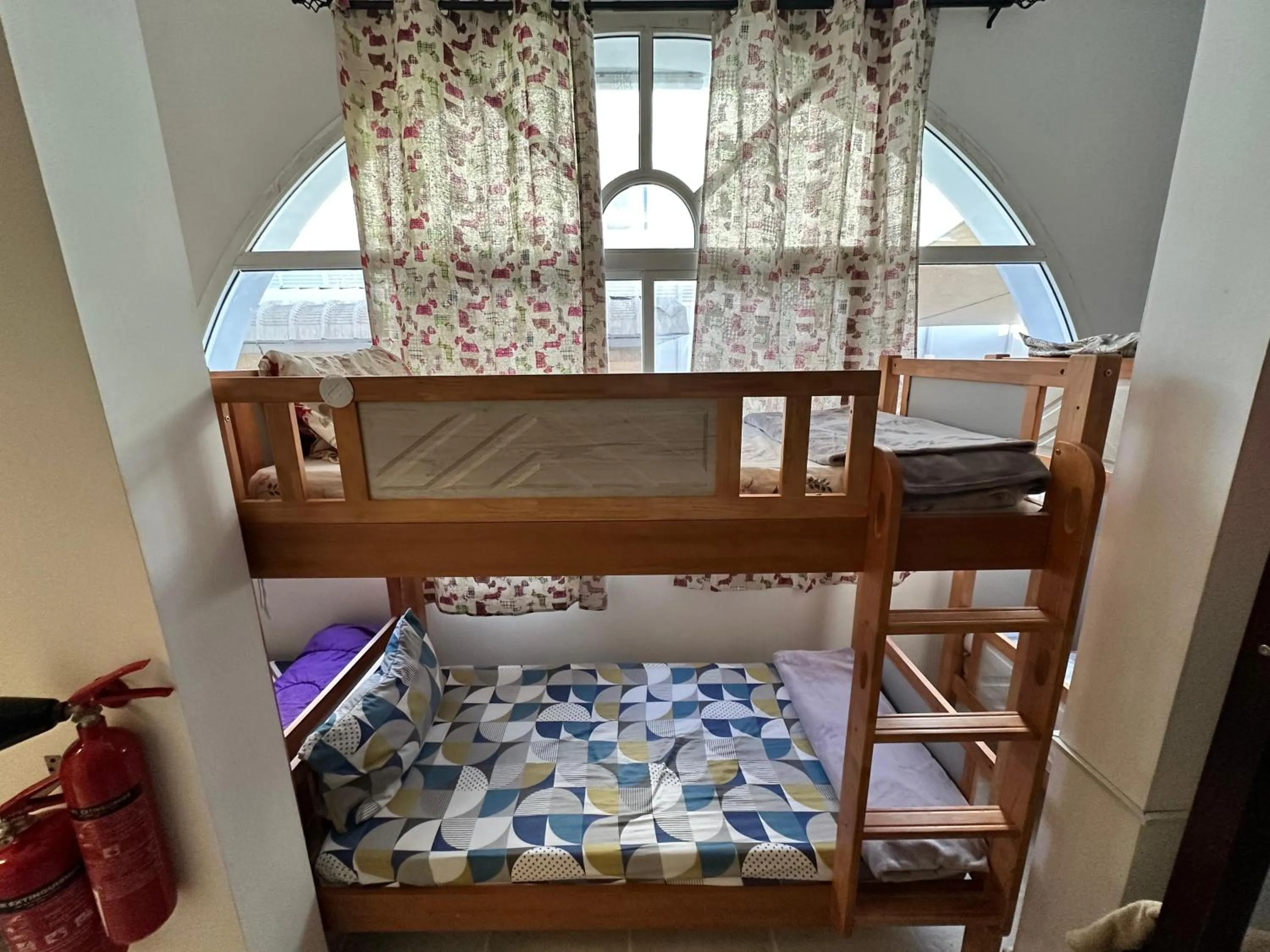 Bed in International Abu-Dhabi Hostel Villa