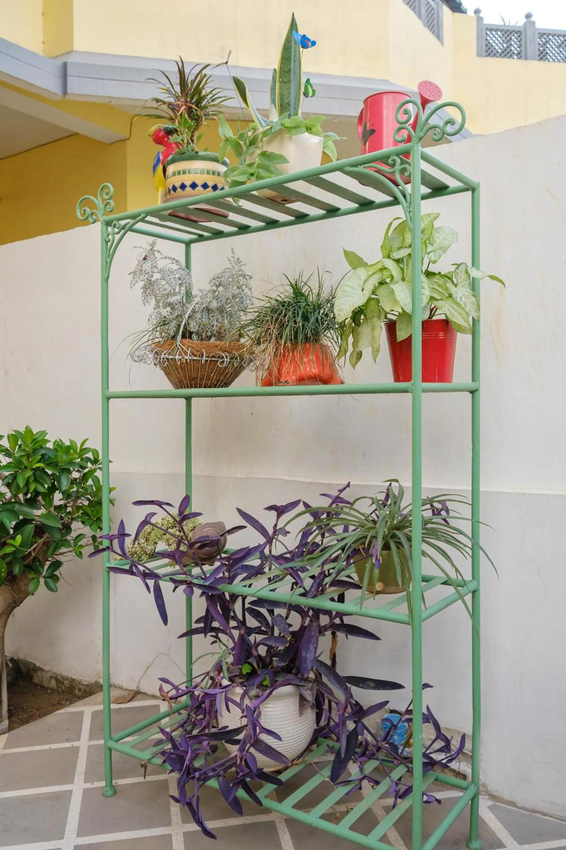 Garden in Shree Nikunj - A Luxury Boutique Homestay in Jaipur