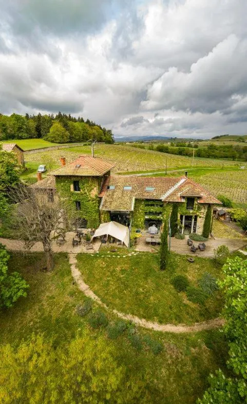 Balcony/Terrace in Lodges Lao