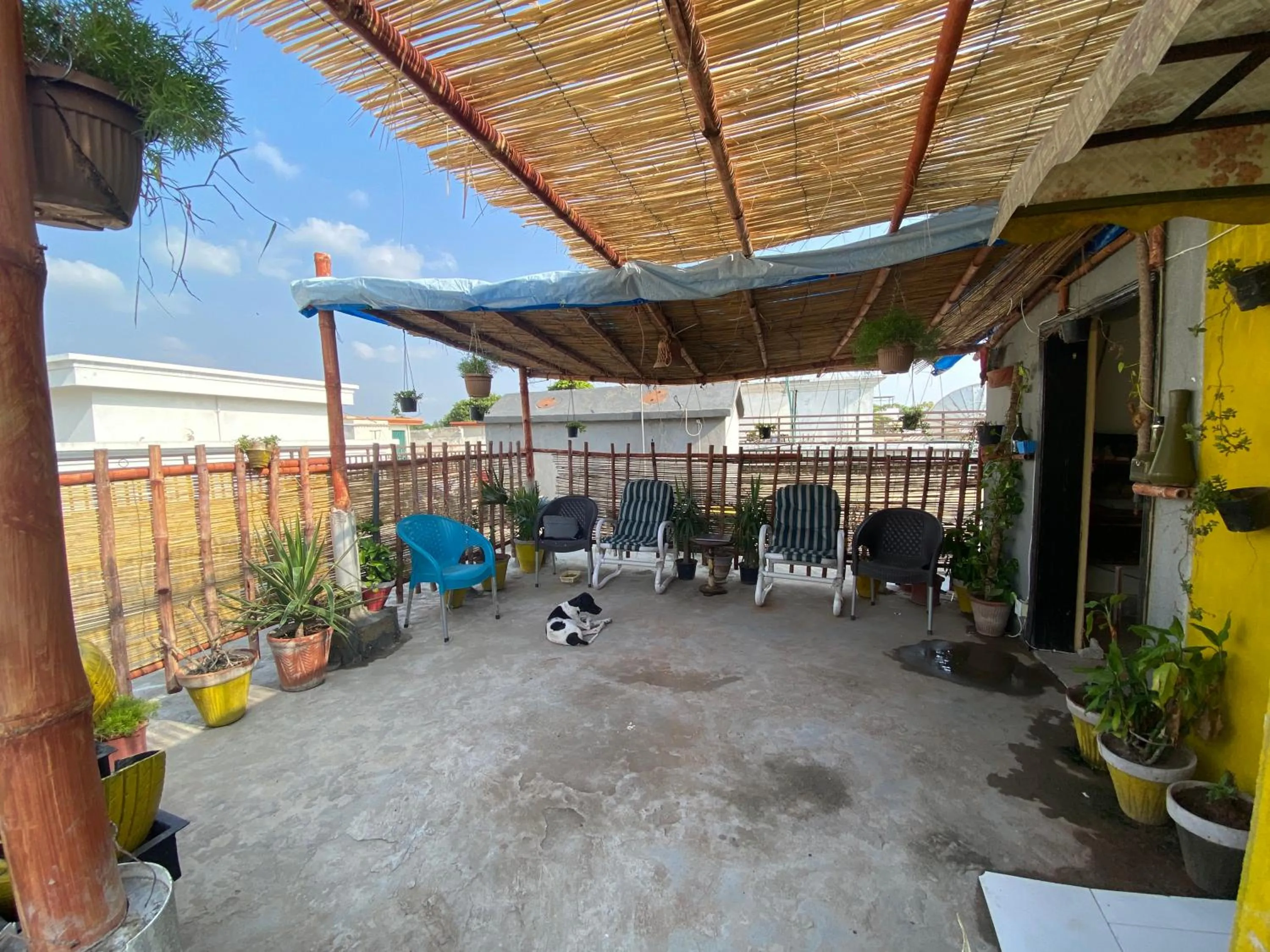 Natural landscape in The Comfort Lodge