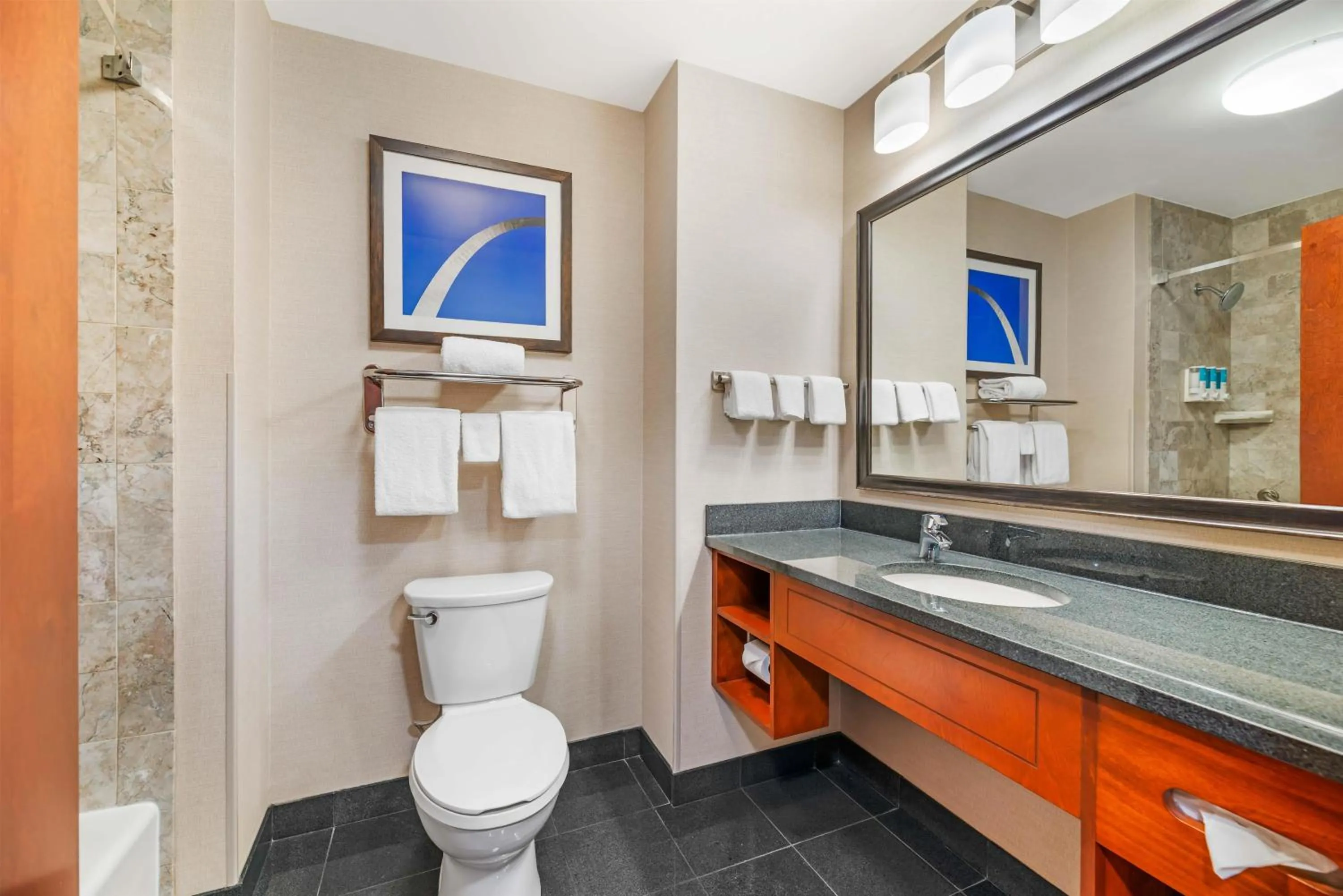 Bathroom in Drury Plaza Hotel St Louis Brentwood