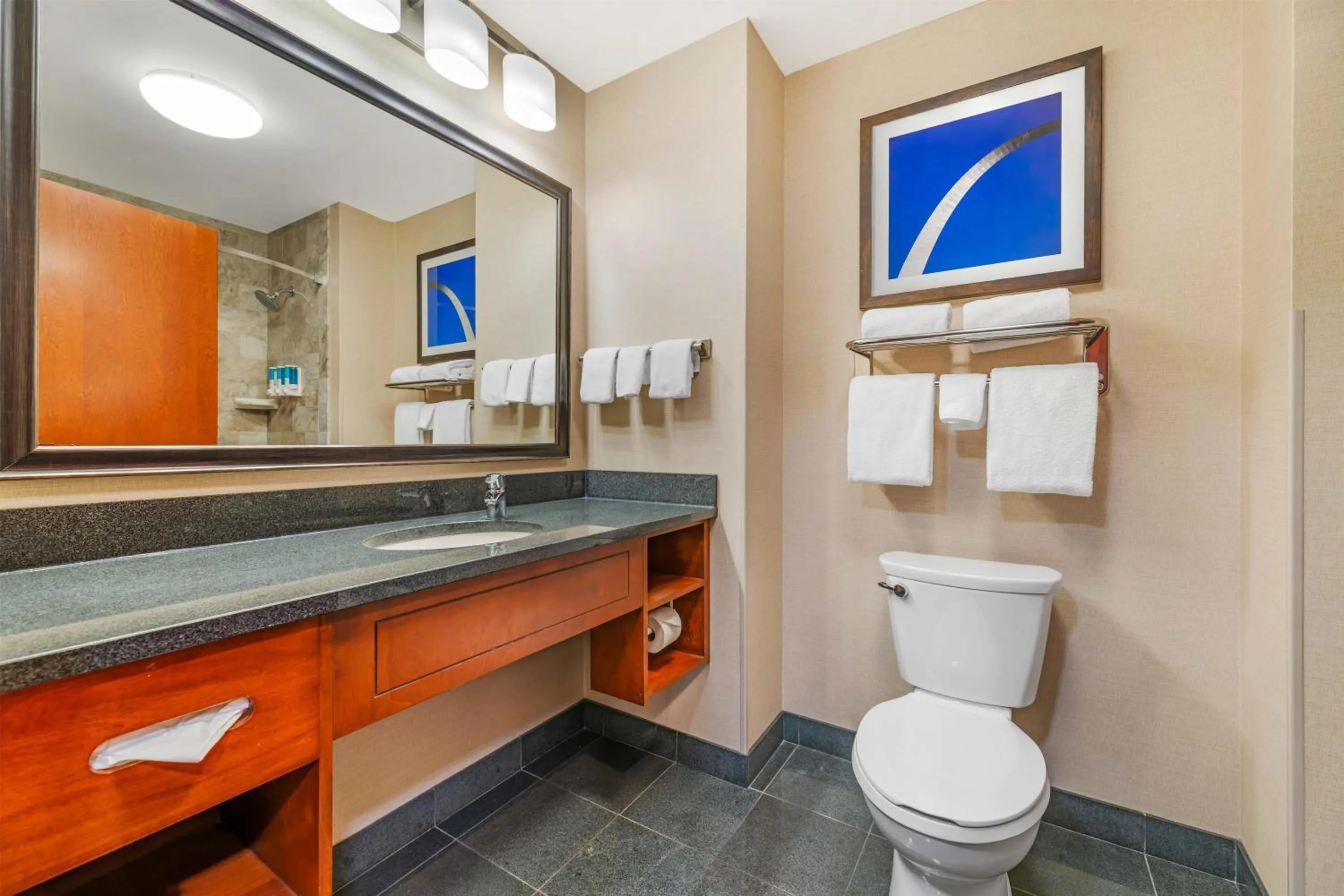 Bathroom in Drury Plaza Hotel St Louis Brentwood