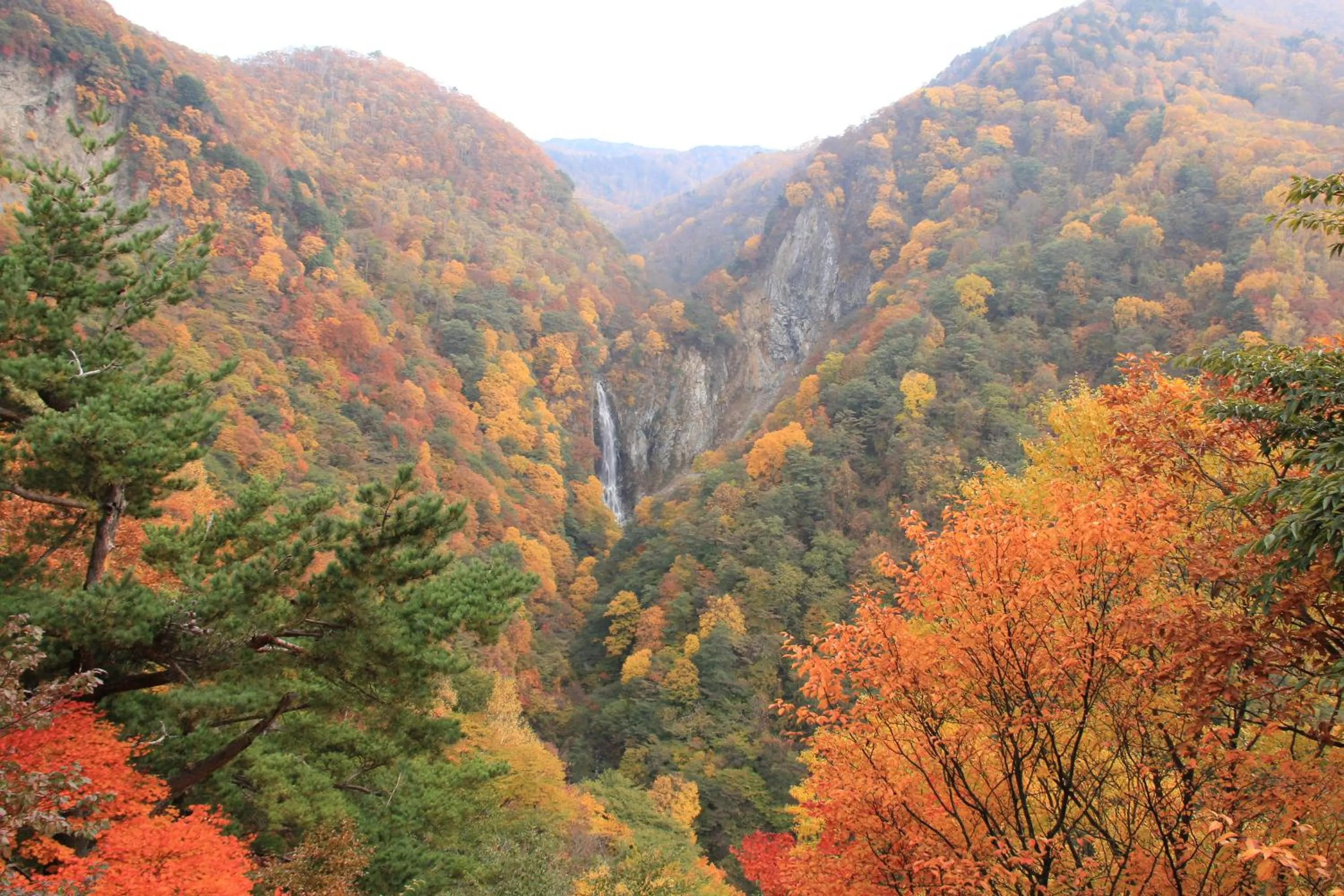 Natural landscape in NOZARU ONSEN HOSTEL