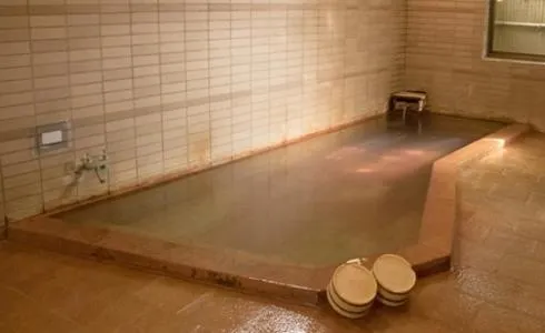 Public Bath in NOZARU ONSEN HOSTEL
