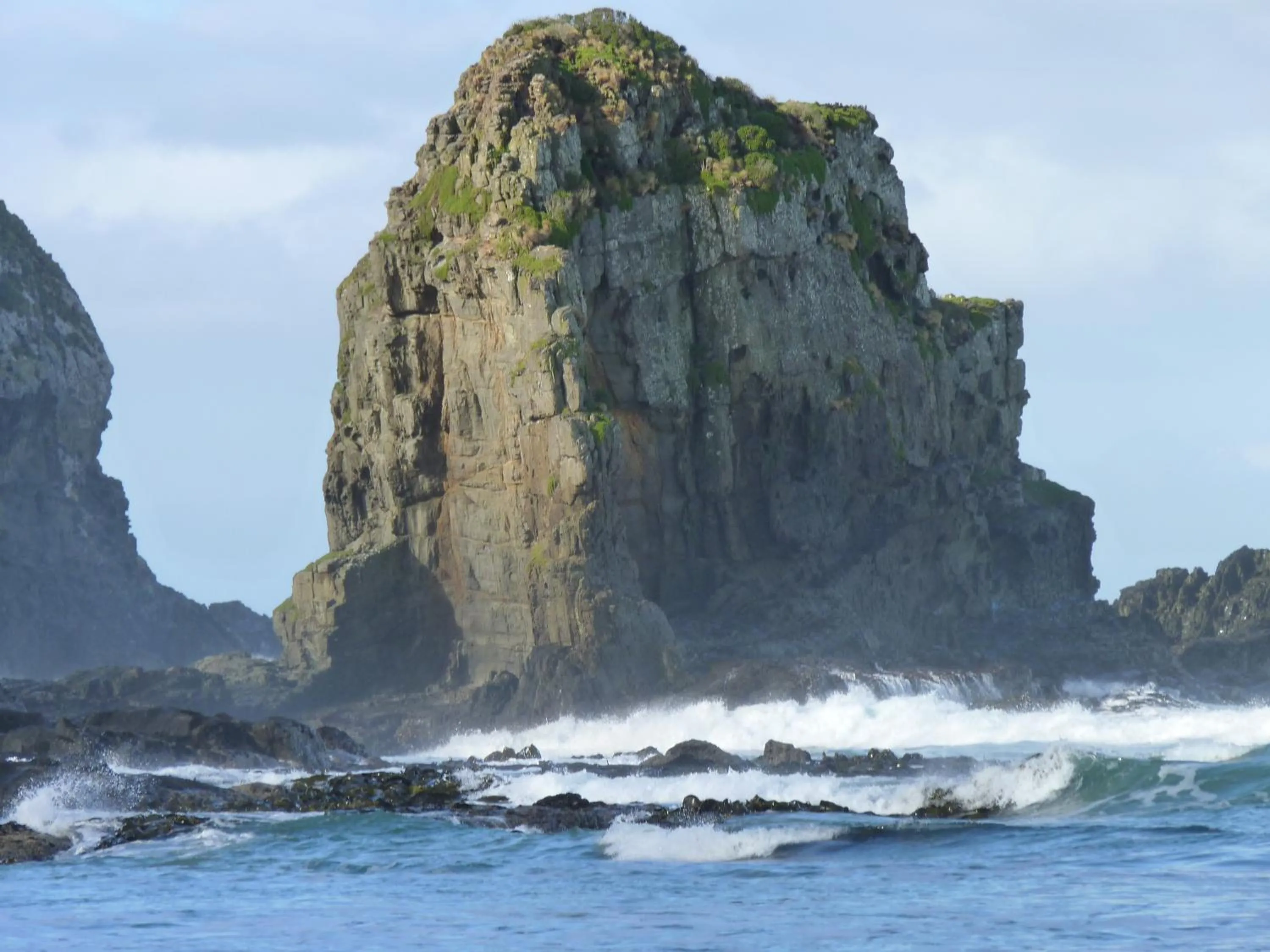 Area and facilities in Kaka Point Motels