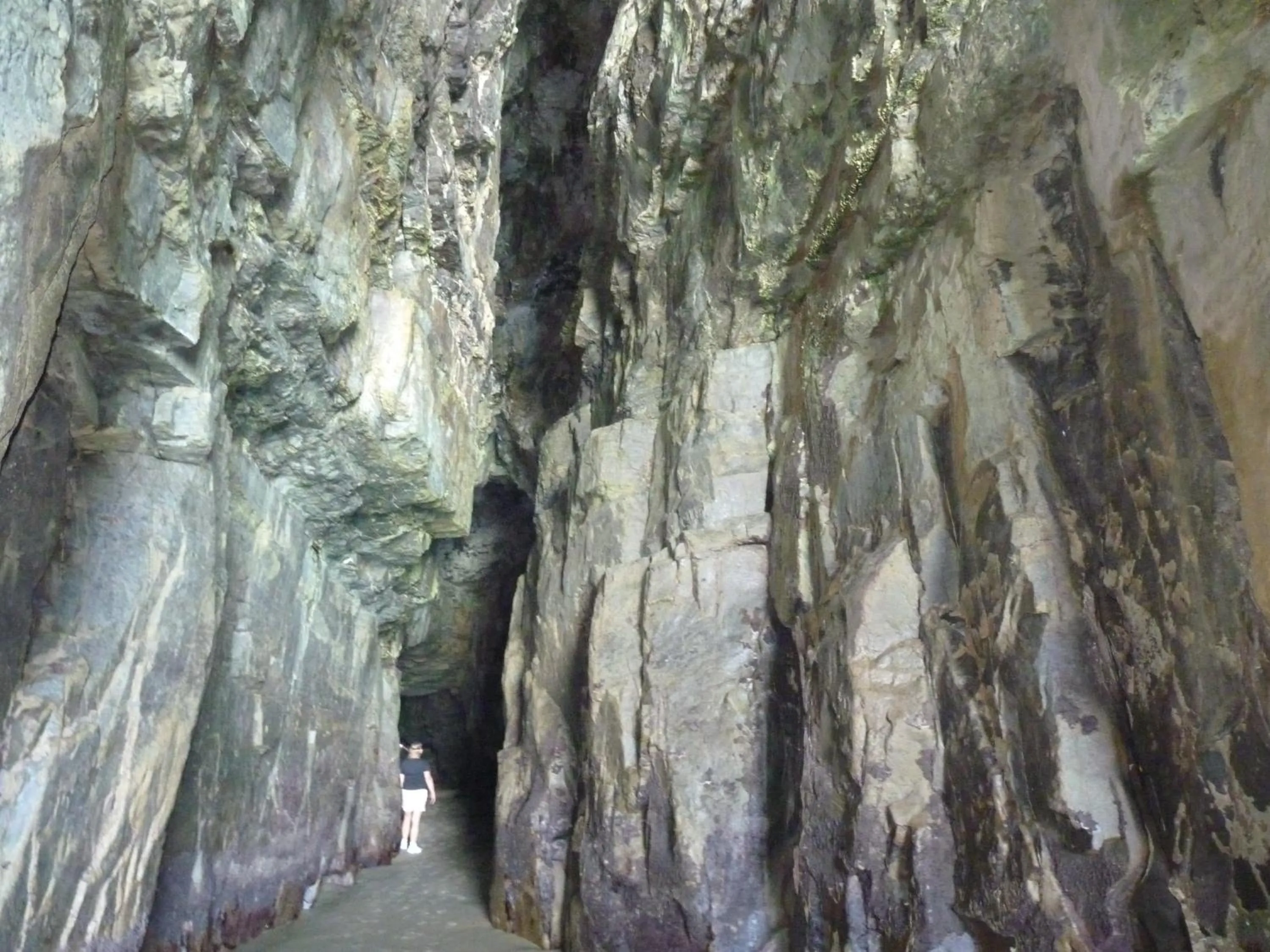 Area and facilities in Kaka Point Motels