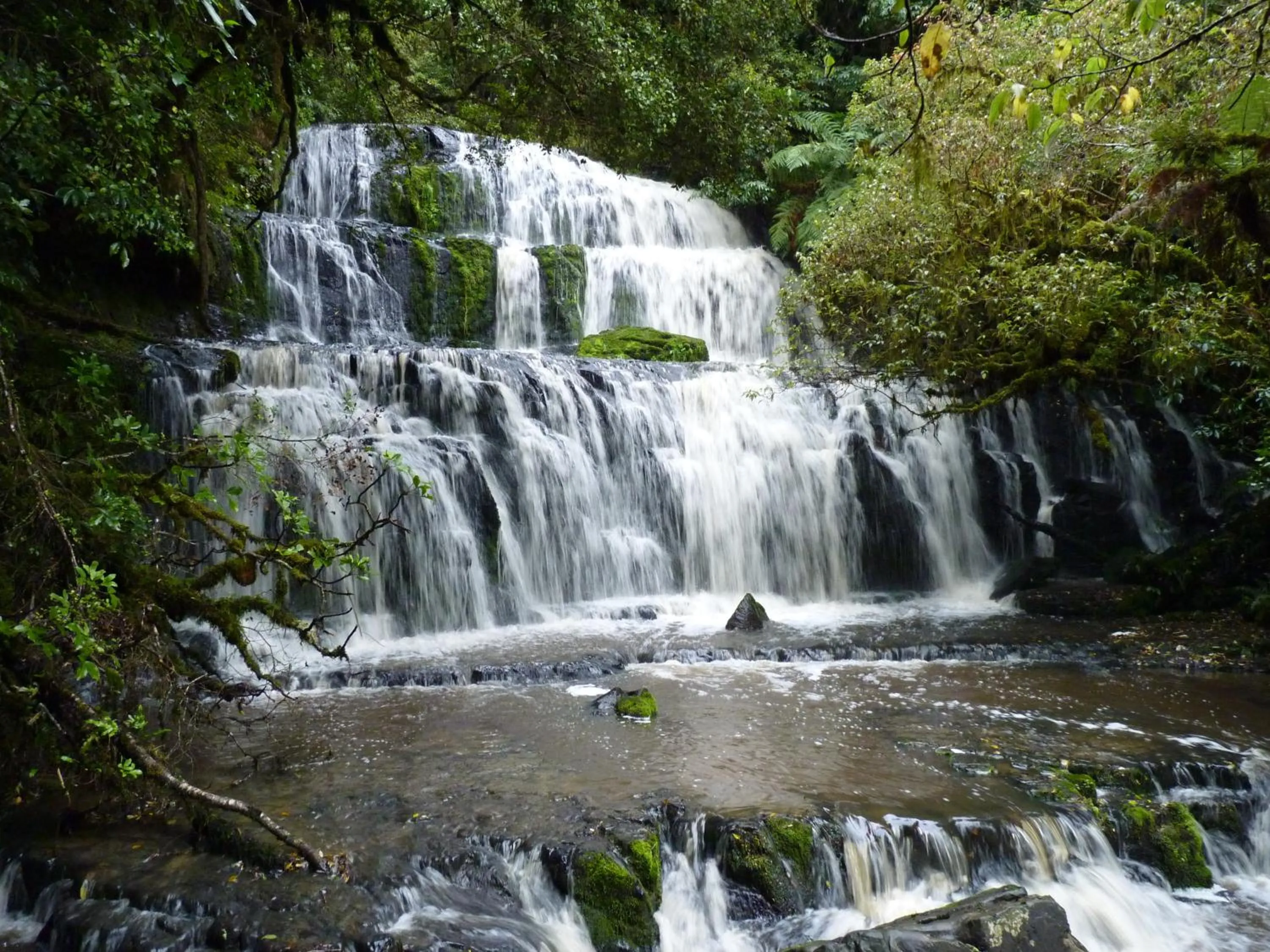 Area and facilities in Kaka Point Motels