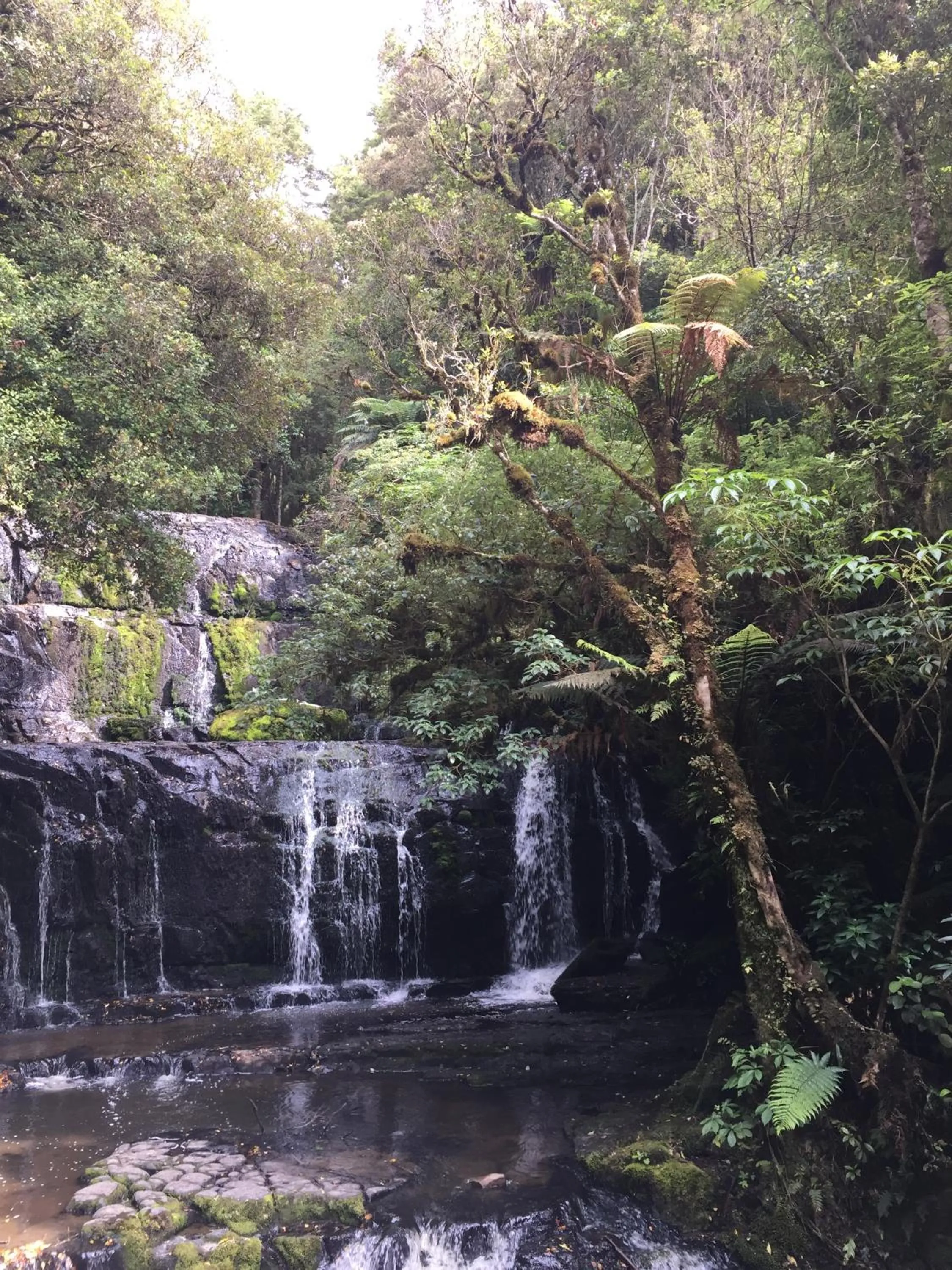 Nearby landmark in Kaka Point Motels