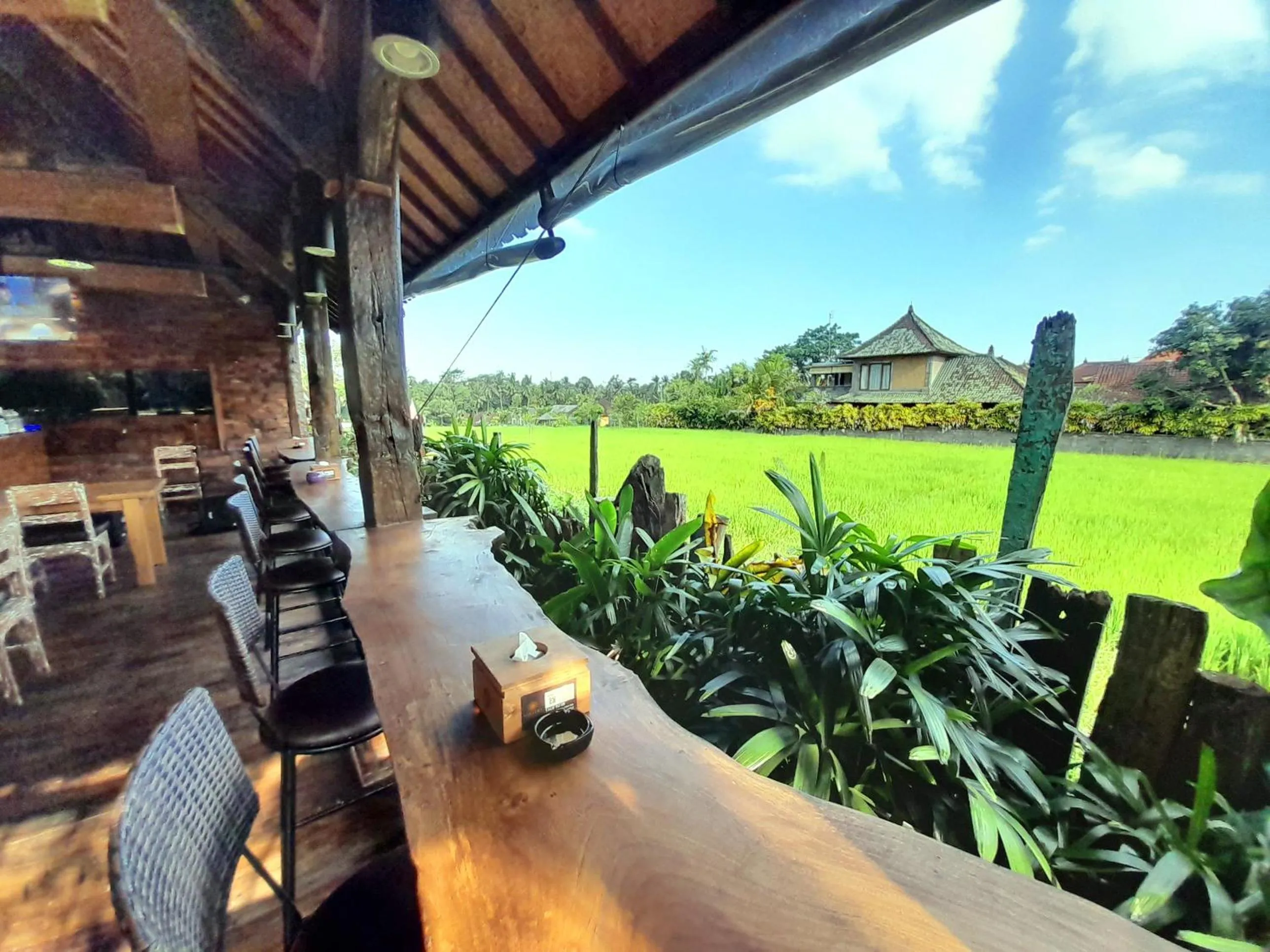 Restaurant/places to eat in Gayatri Retreat Ubud