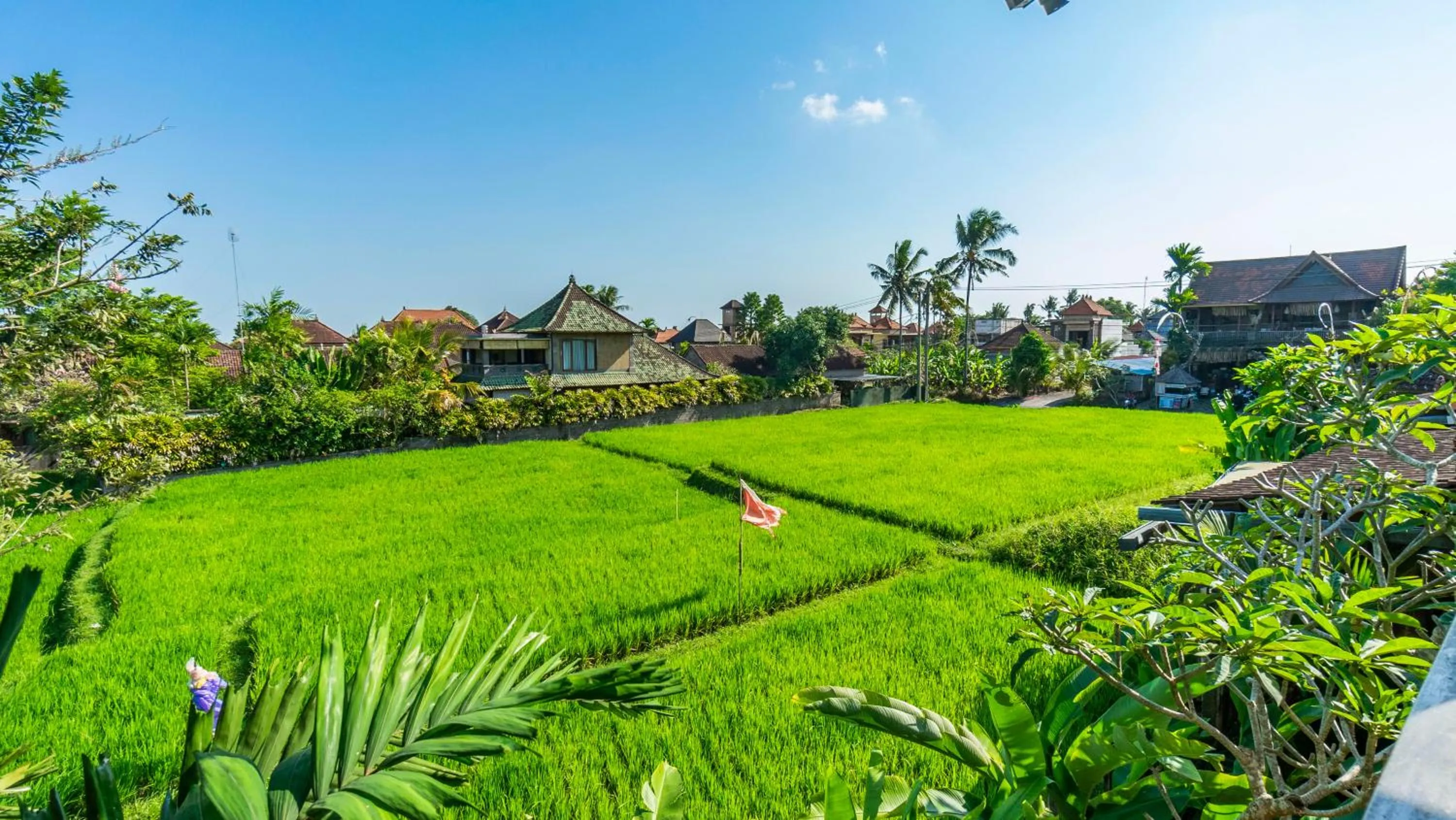 Natural landscape in Gayatri Retreat Ubud