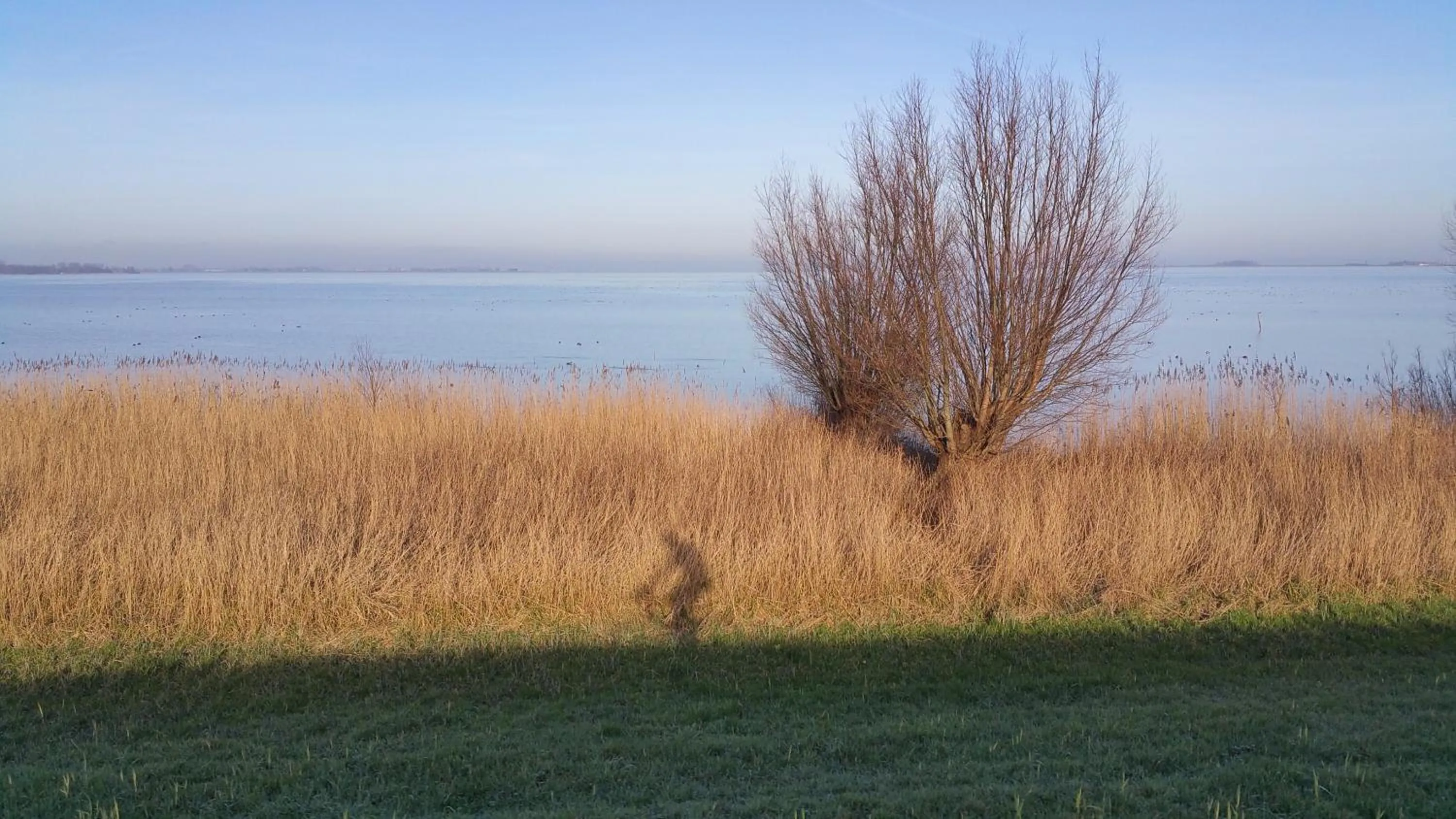 Off site in Bed In Waterland