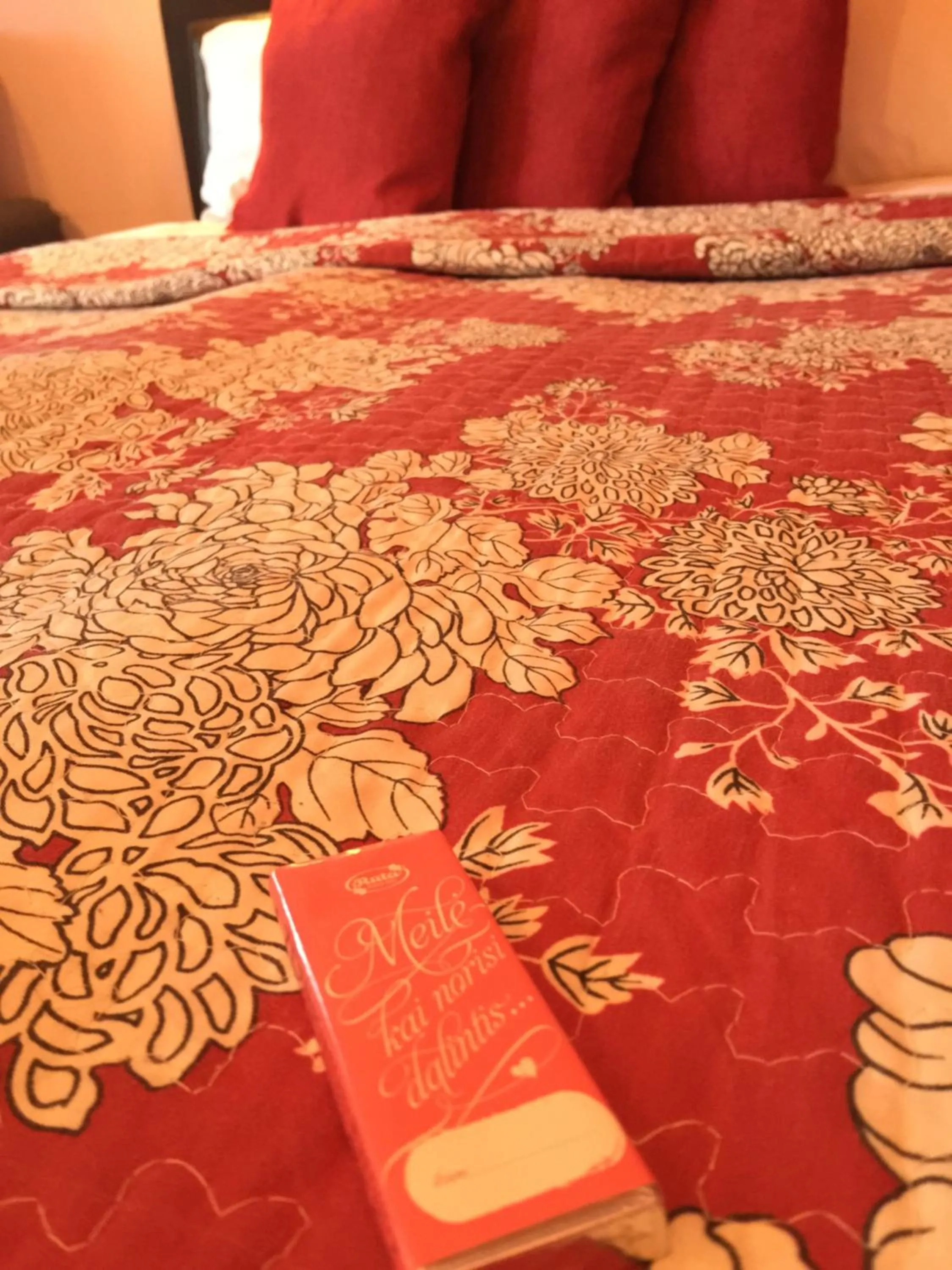 Decorative detail in Kaimo turizmo sodyba Geras