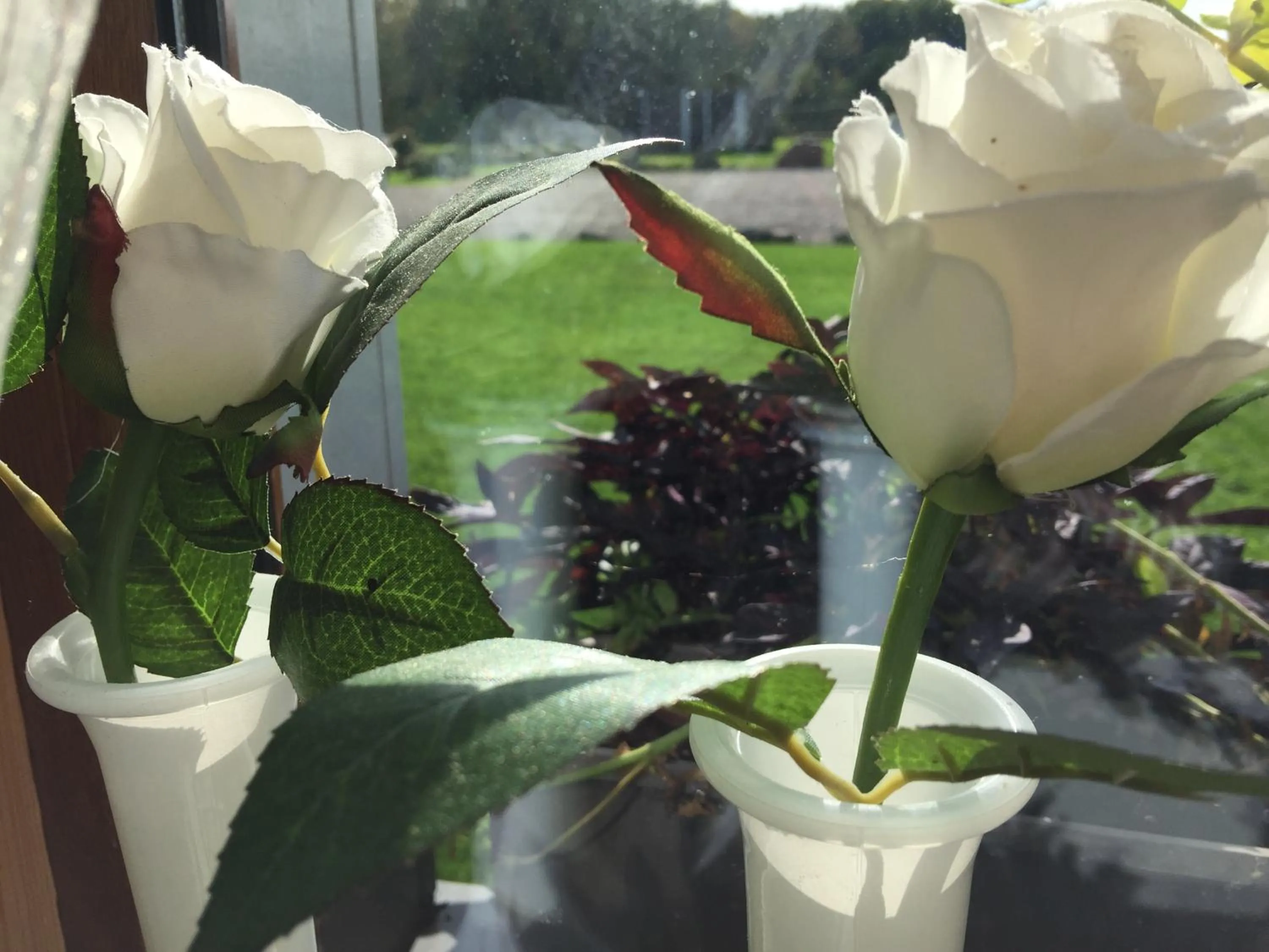 Other in Kaimo turizmo sodyba Geras