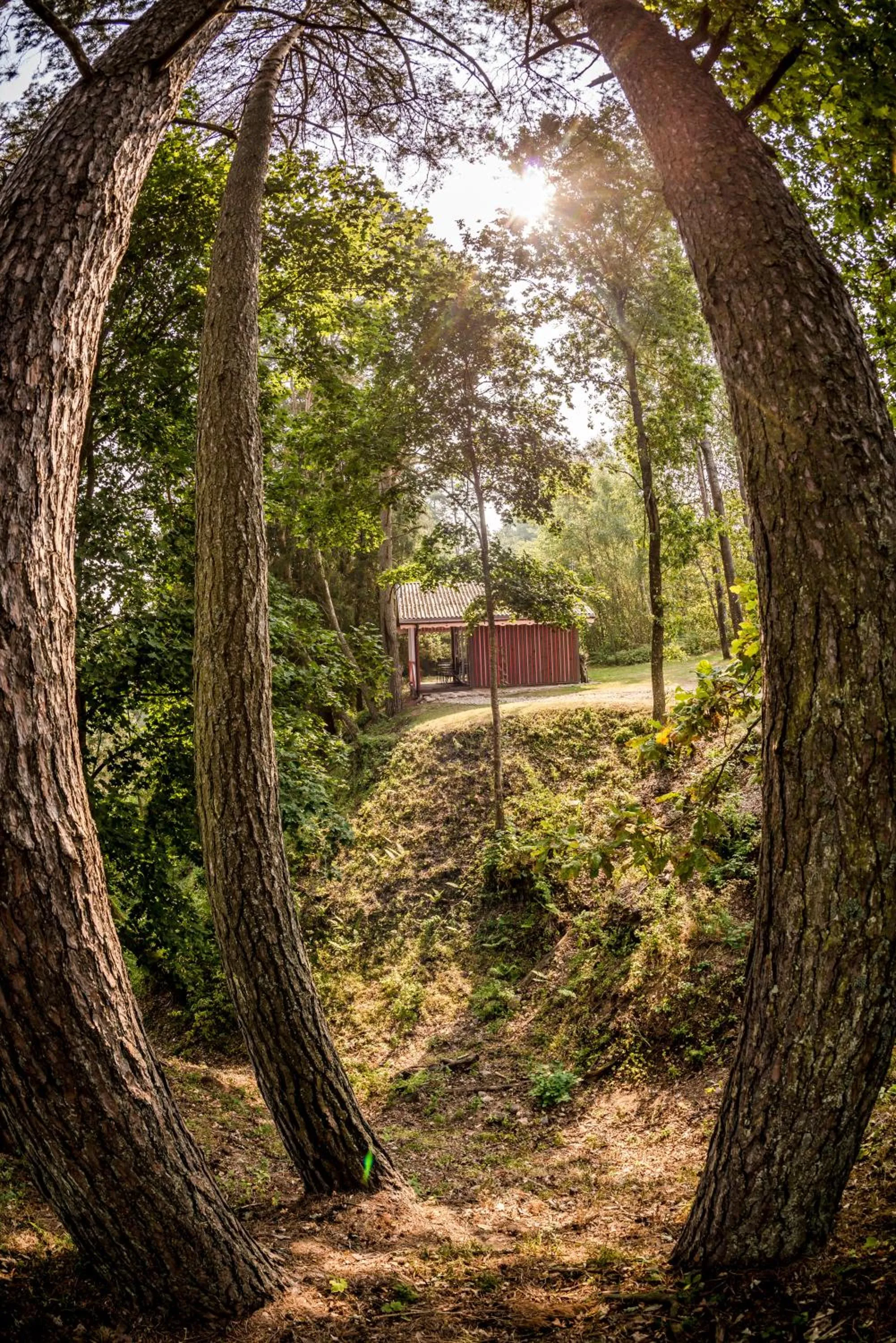 Property building in Kaimo turizmo sodyba Geras