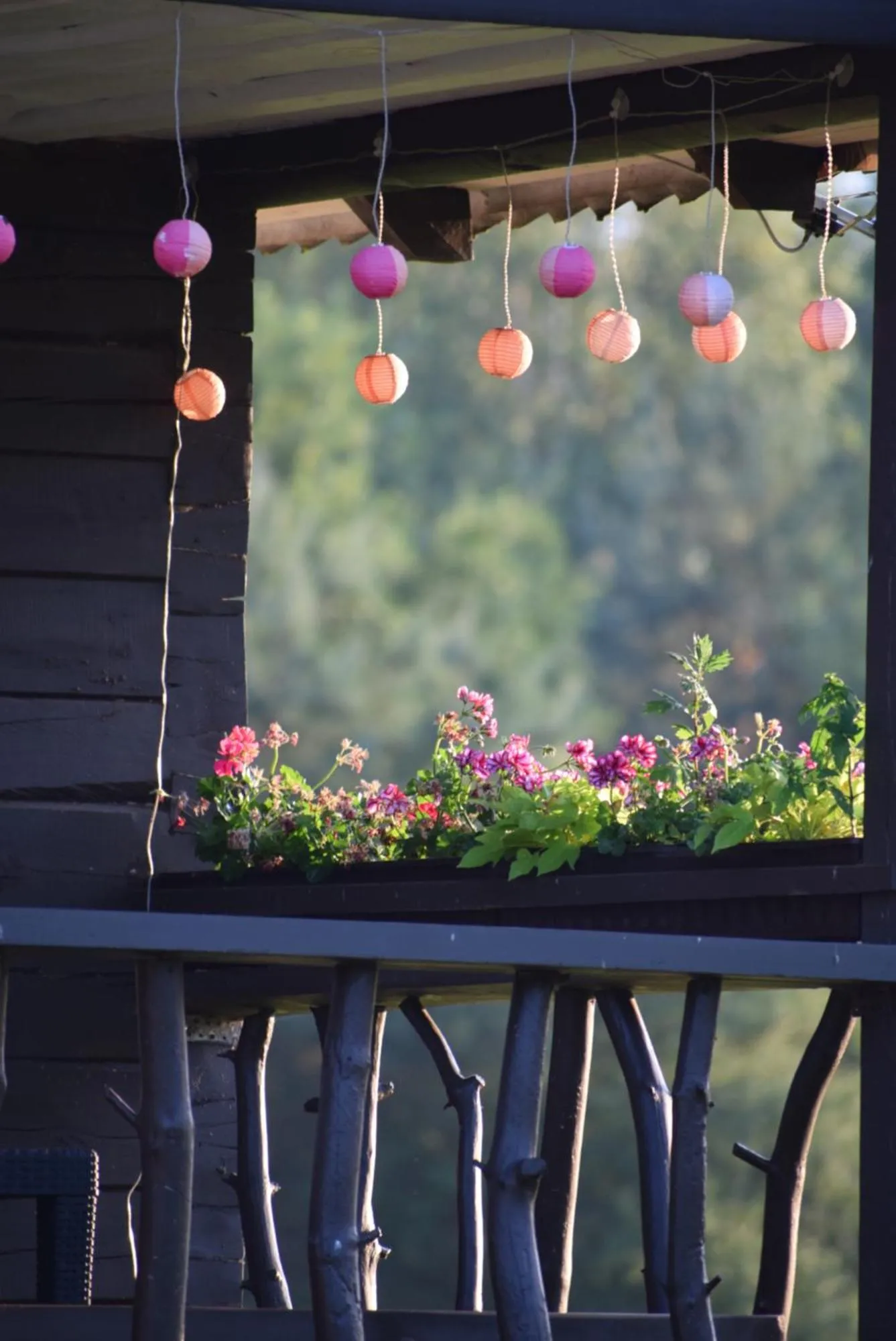 Balcony/Terrace in Kaimo turizmo sodyba Geras