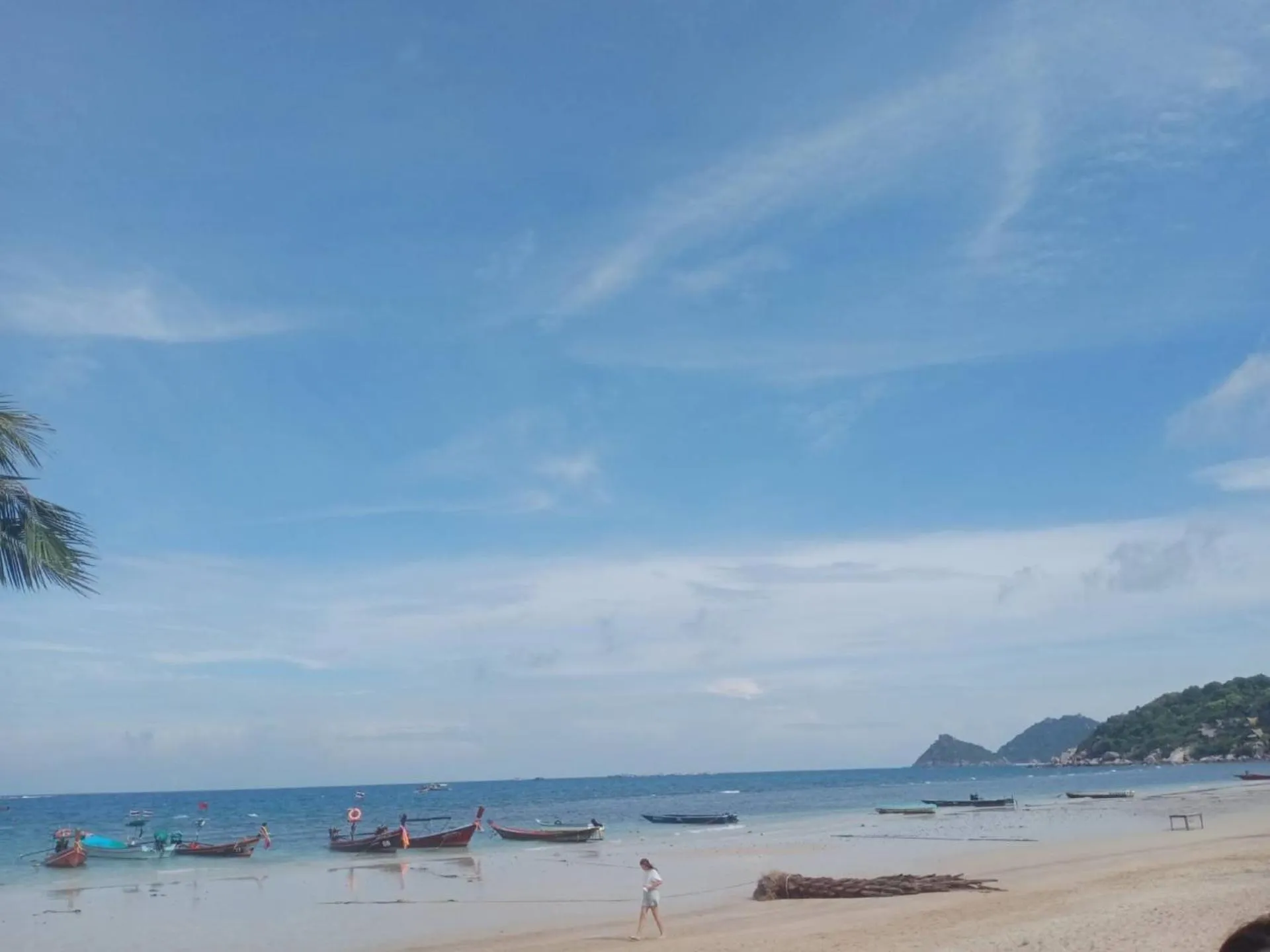 Beach in Lotus Hostel Beach Koh Tao