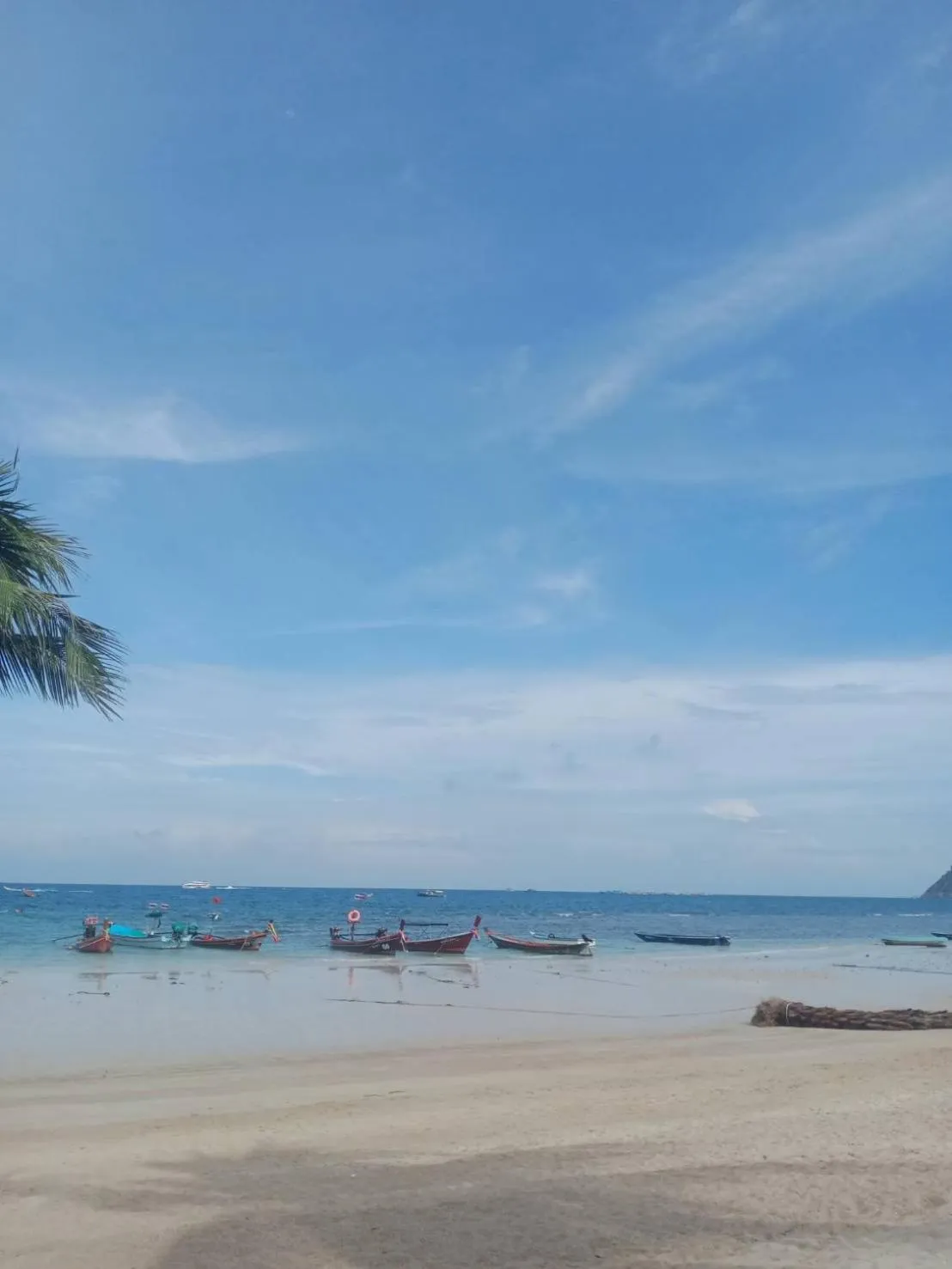 Beach in Lotus Hostel Beach Koh Tao