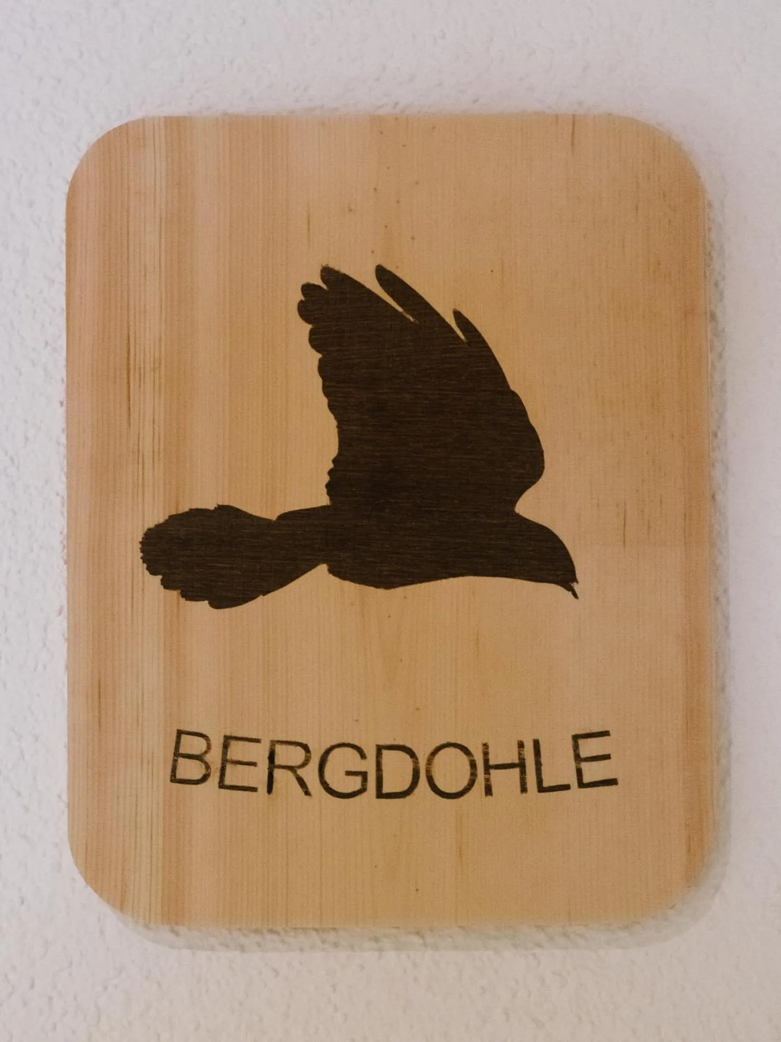 Property logo or sign in Haus Piz Lad