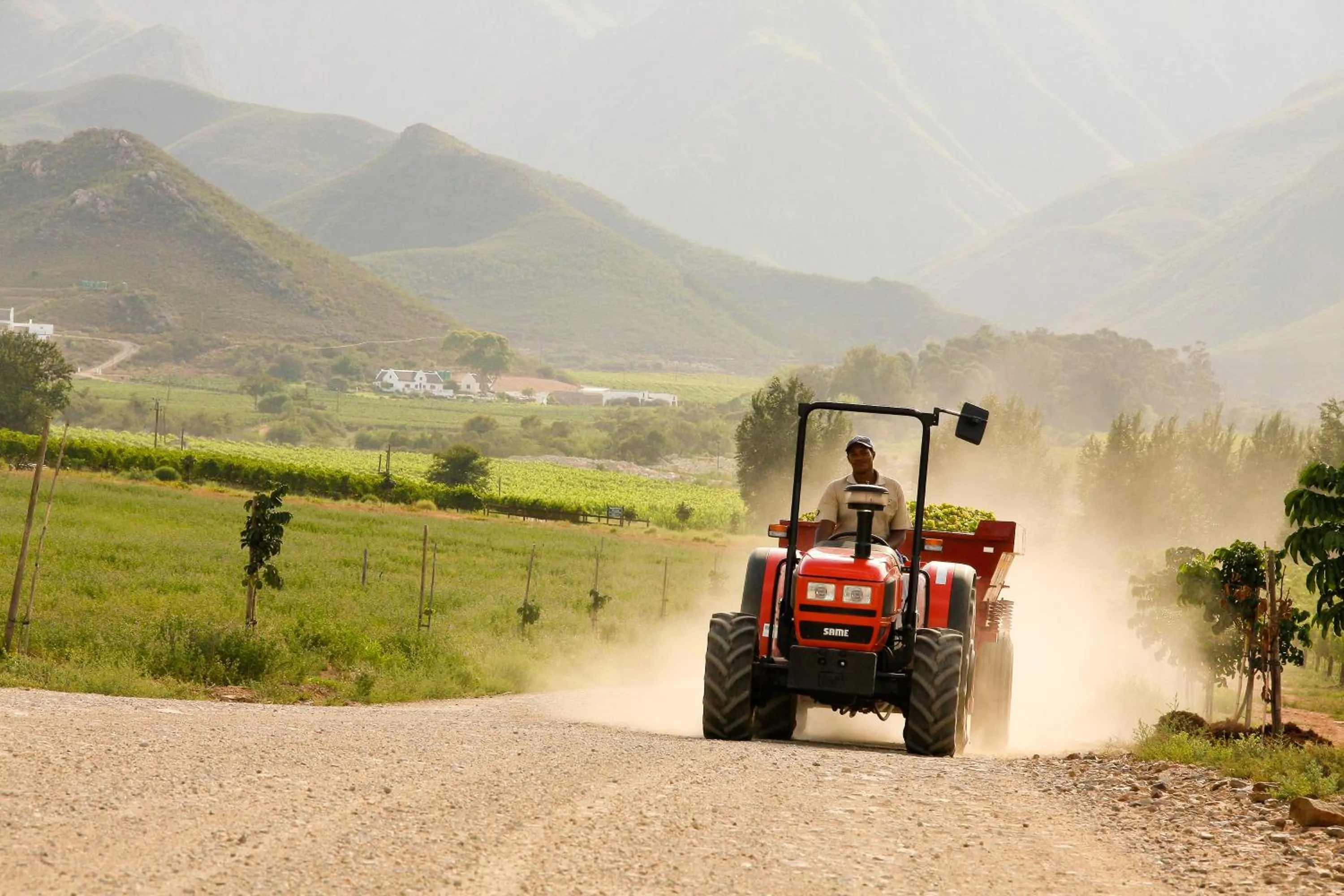 People in Orange Grove