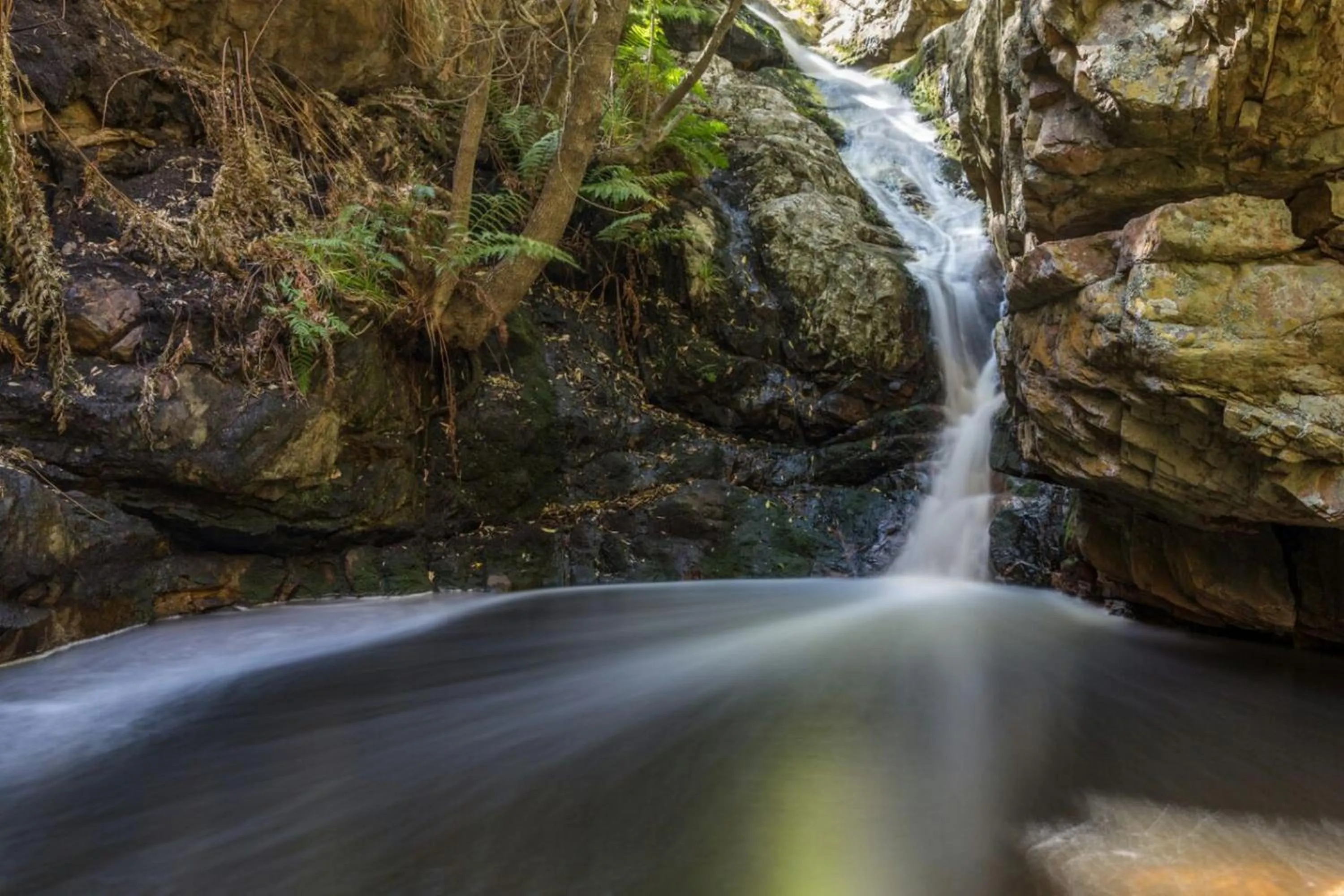 Natural landscape in Orange Grove