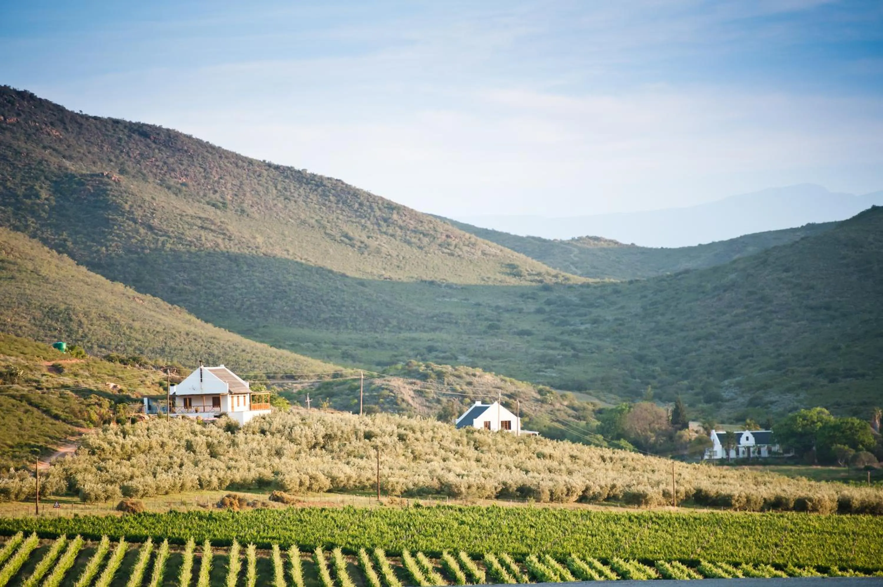 Natural landscape in Orange Grove