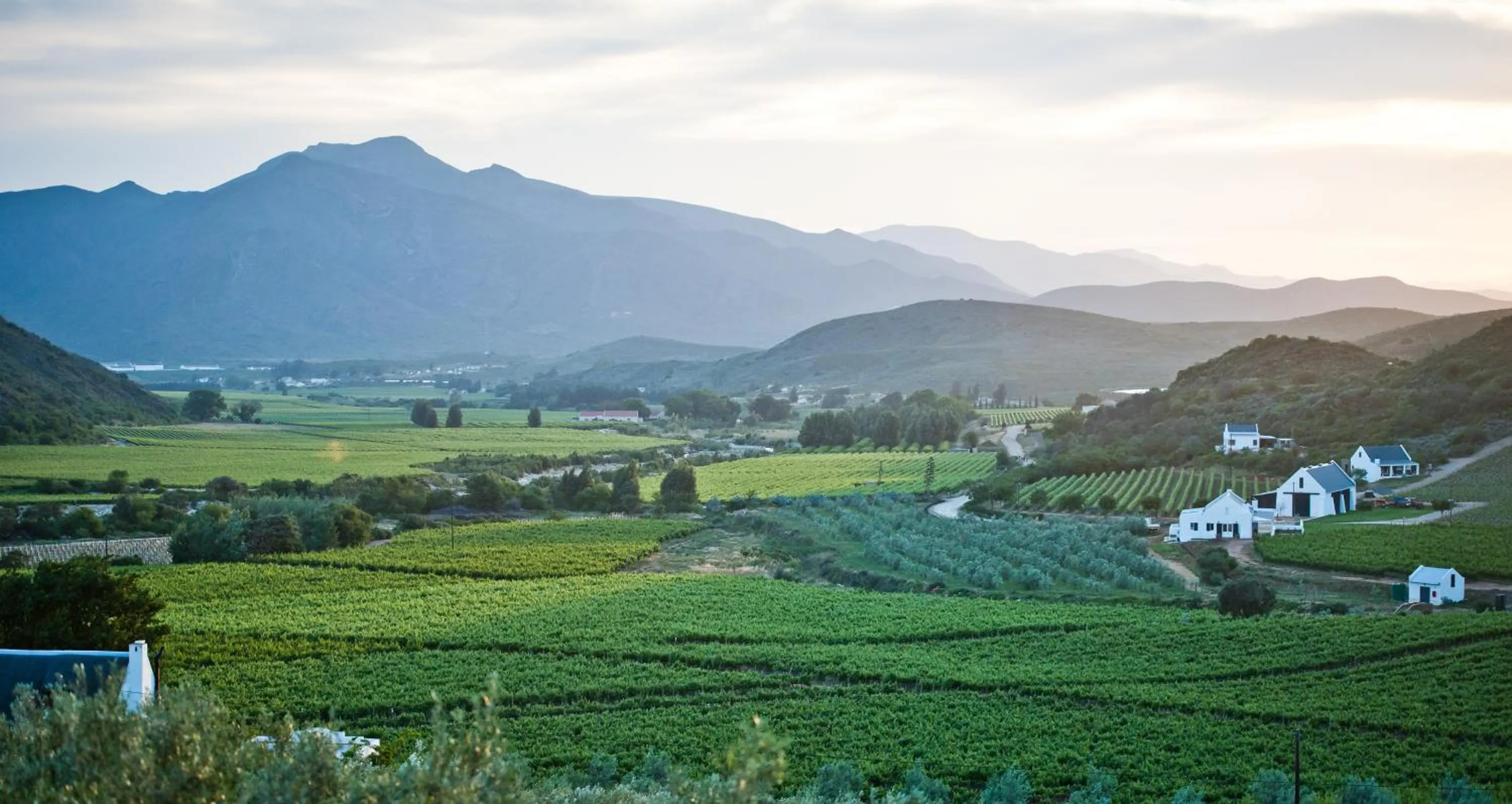 Natural landscape in Orange Grove