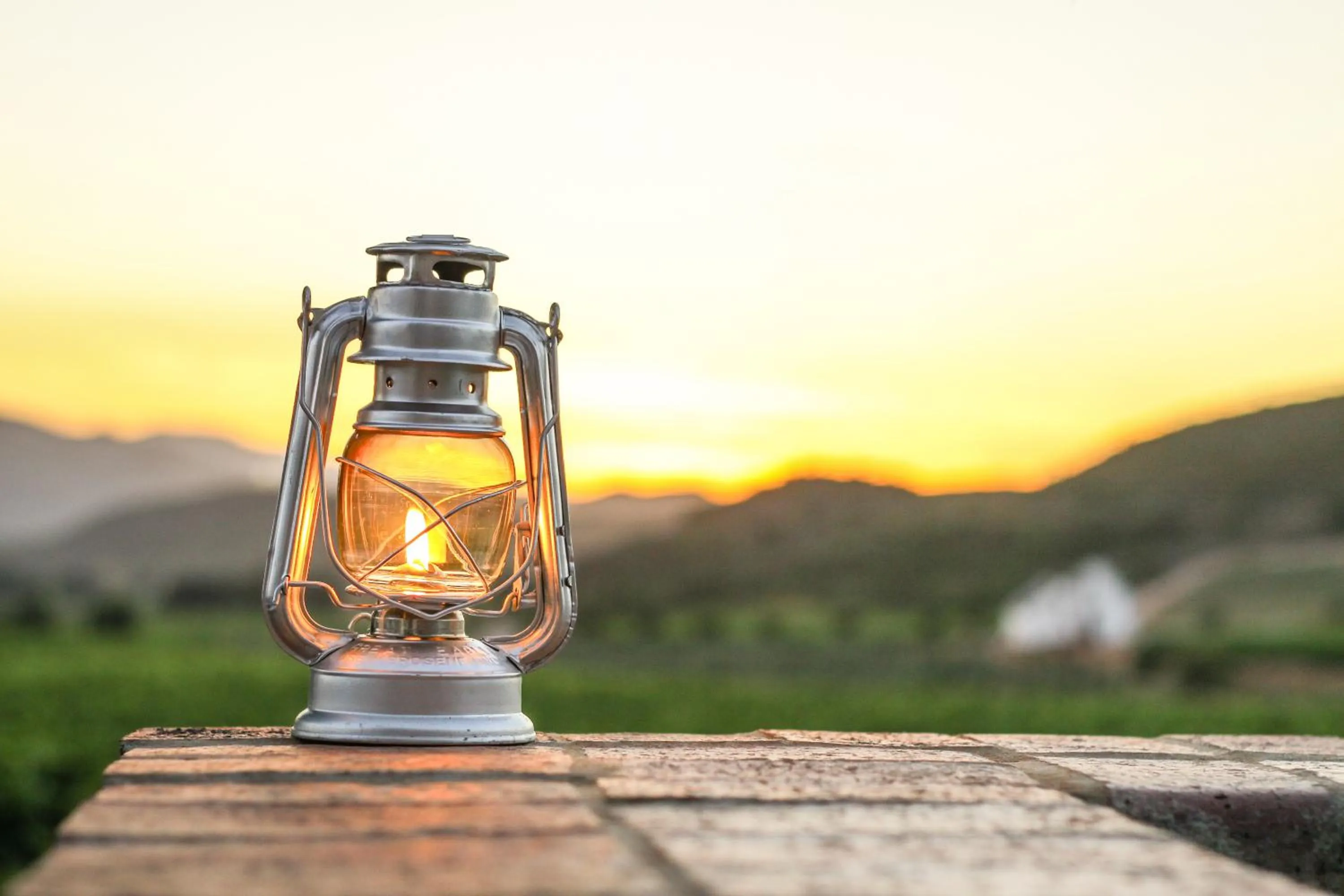 Sunset in Orange Grove