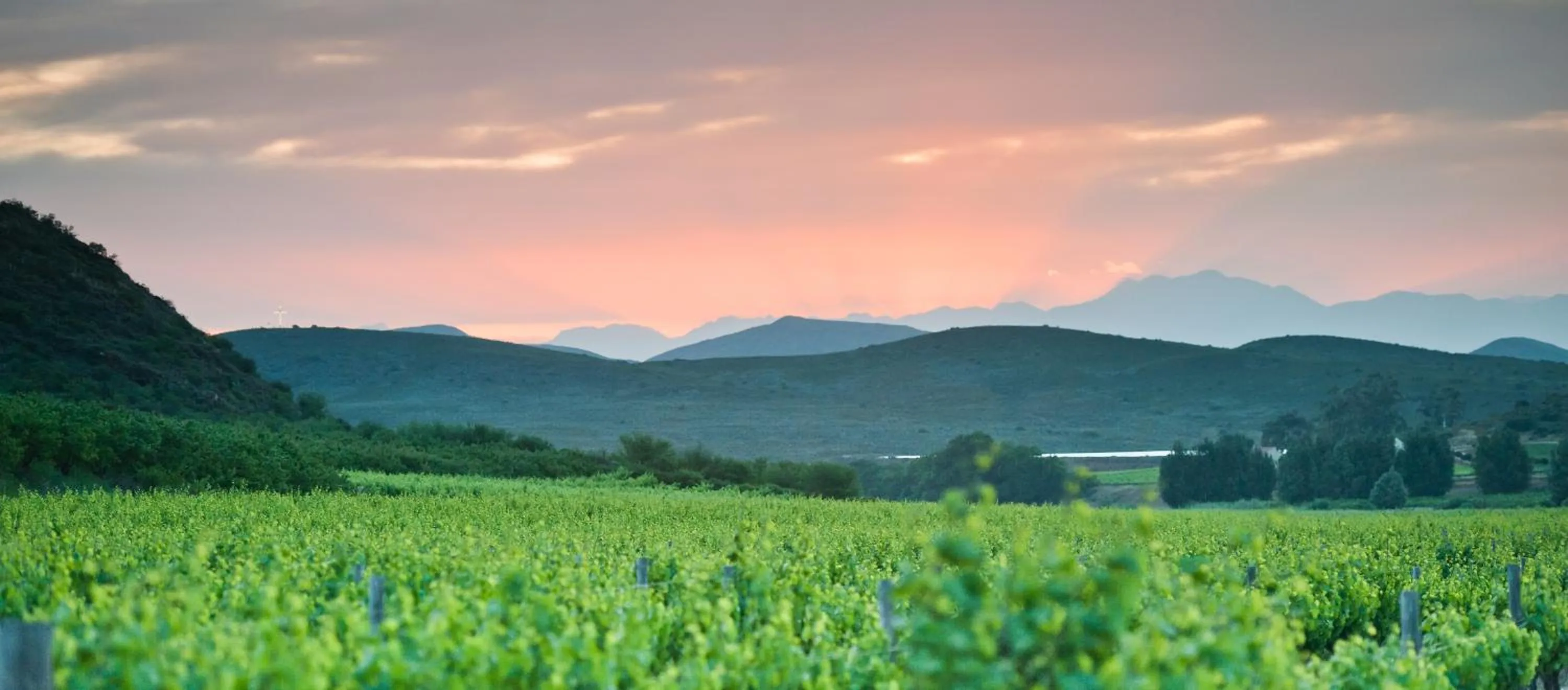 Natural landscape in Orange Grove