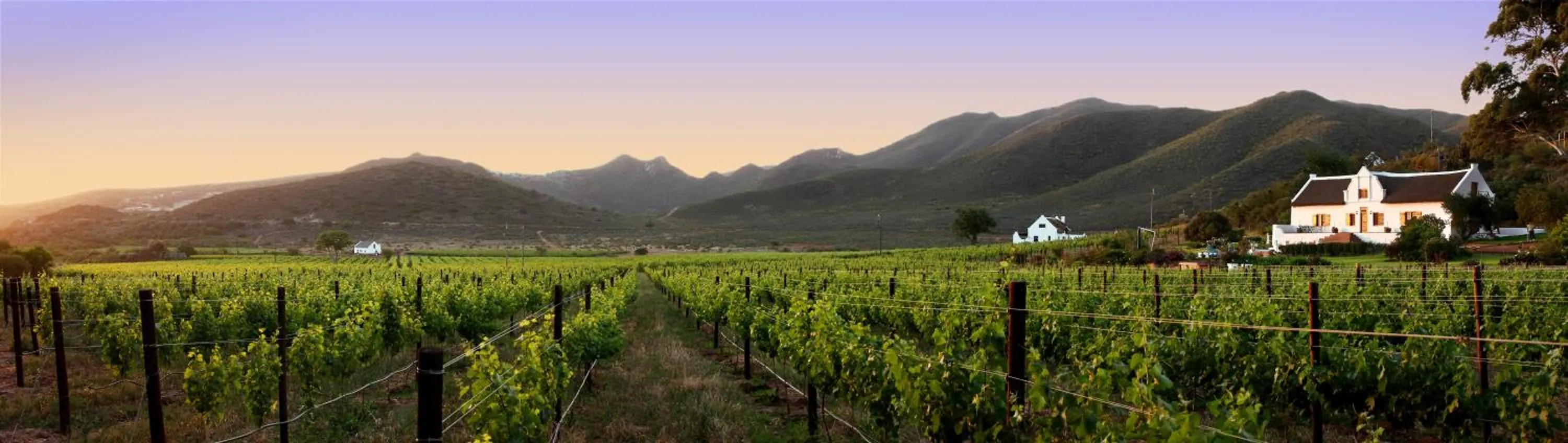Natural landscape in Orange Grove