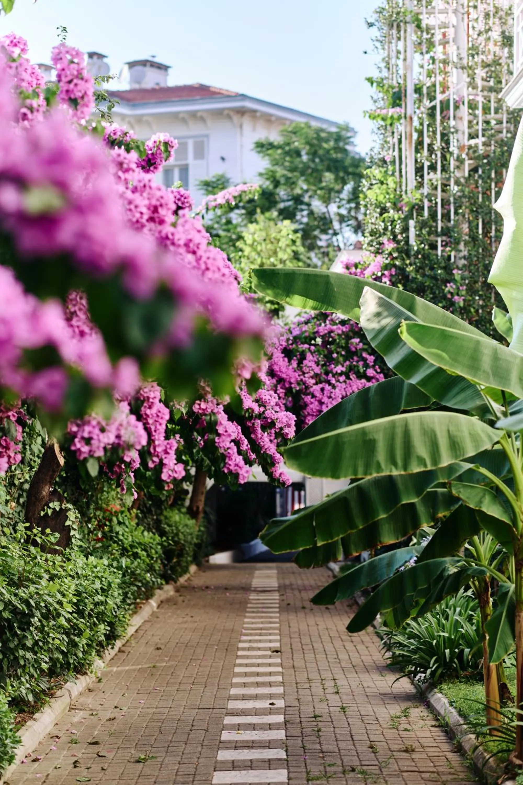 Spring in Büyükada Splendid Palace Hotel