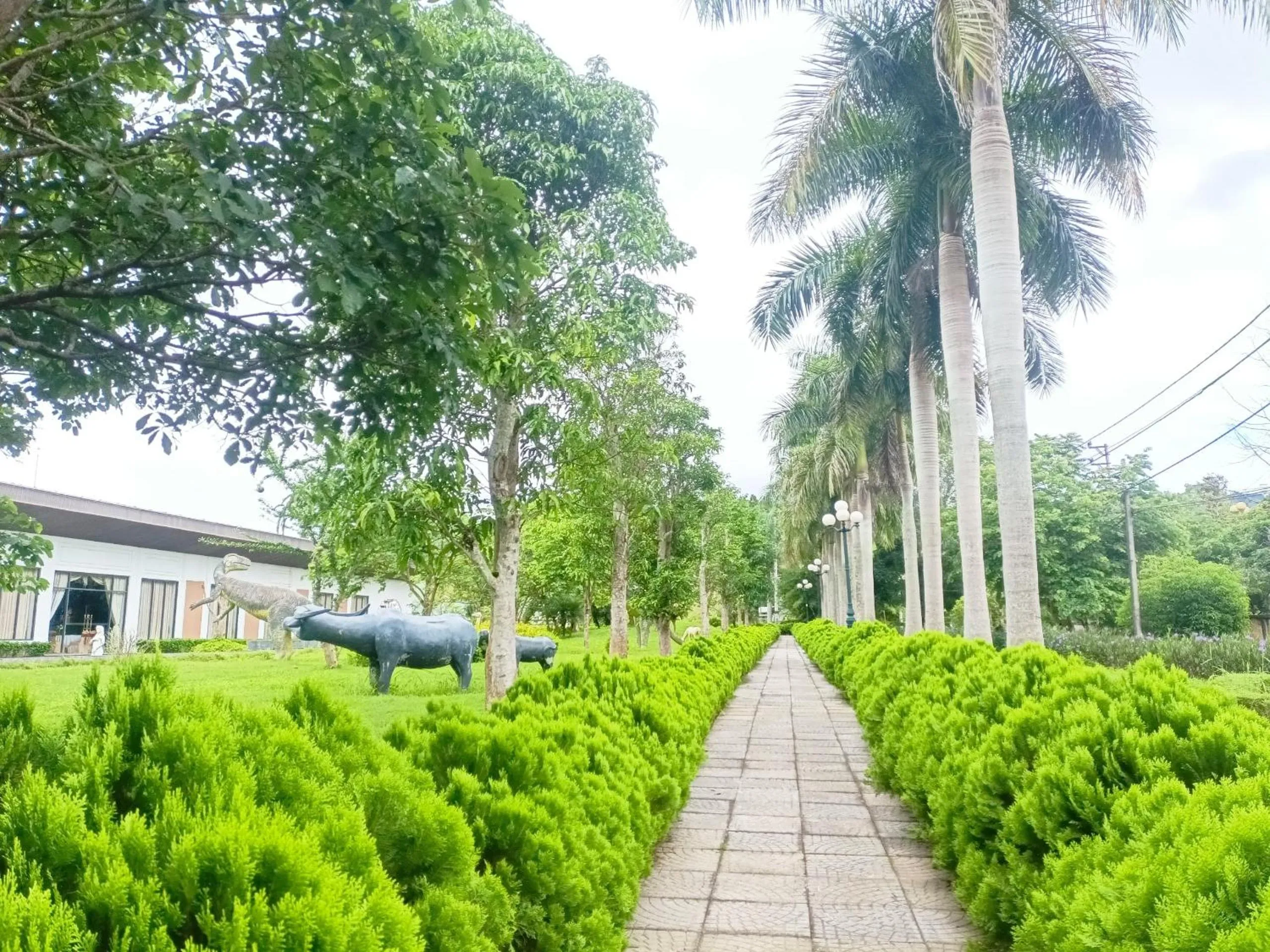 Neighbourhood in Muong Thanh Lai Chau Hotel