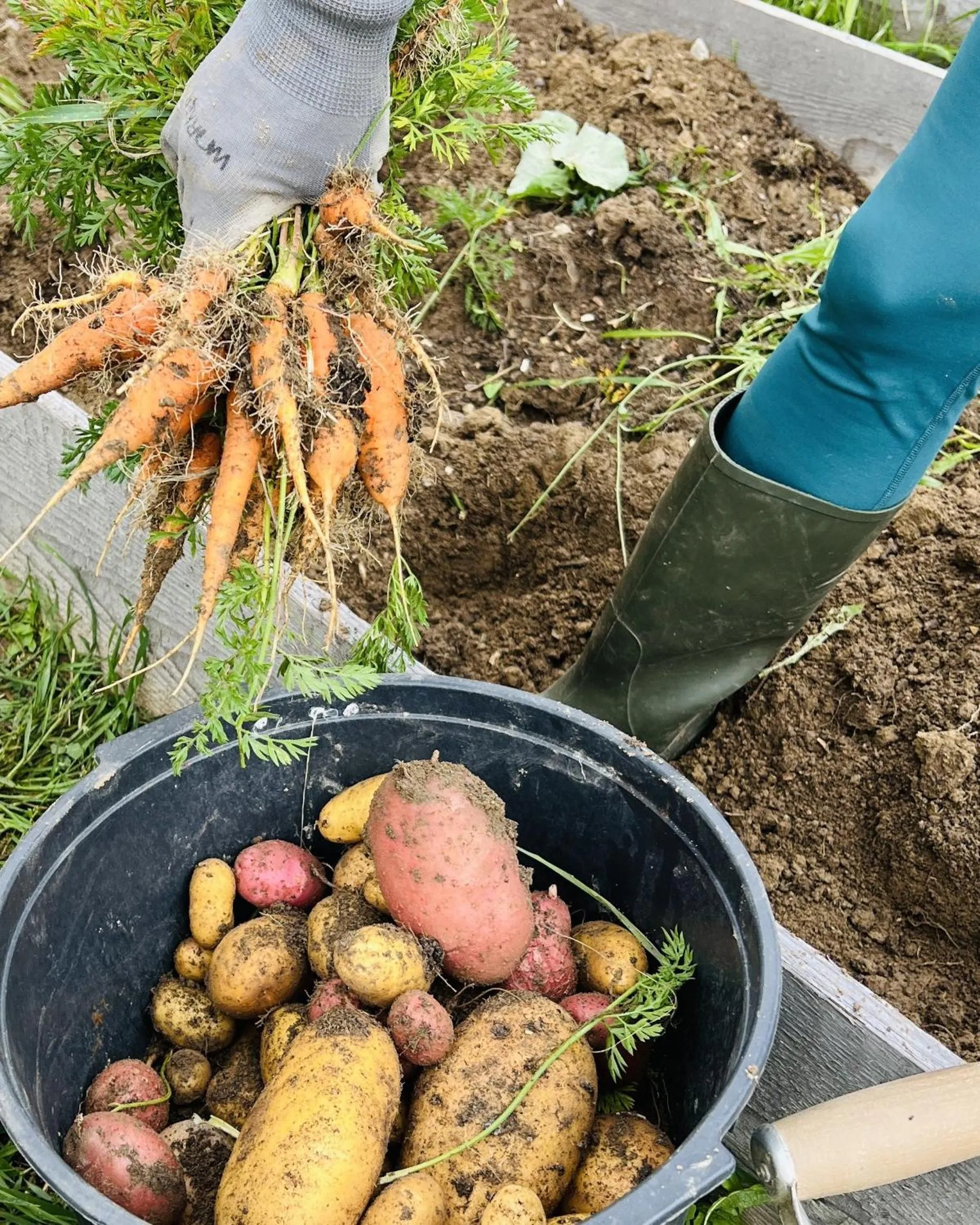 Garden in Berglodge Goms (Hotel)