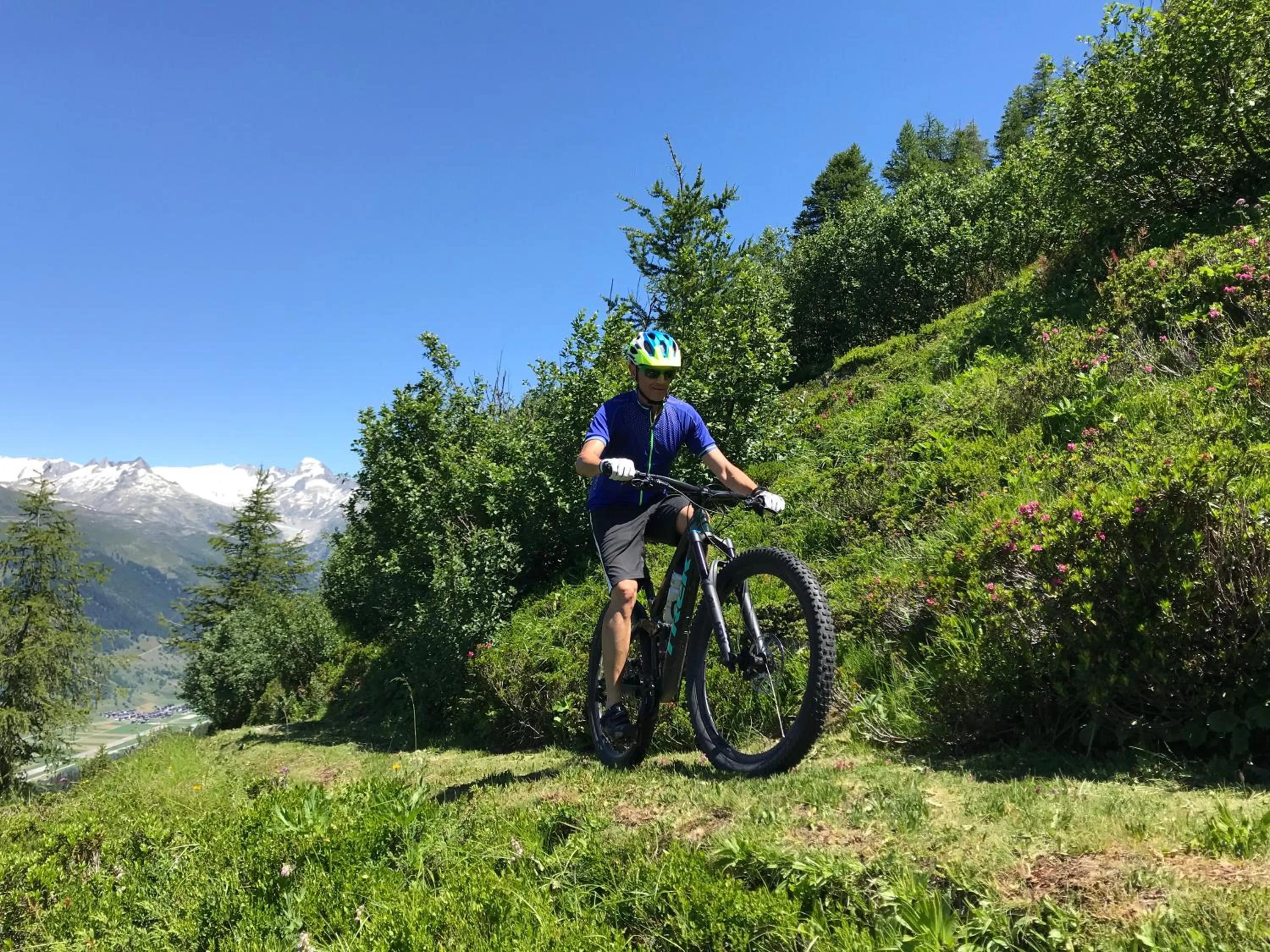 Natural landscape in Berglodge Goms (Hotel)