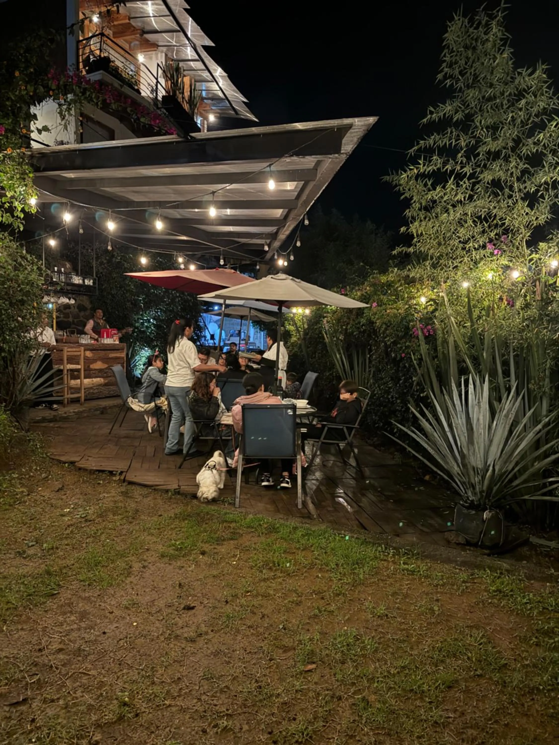 Restaurant/places to eat in Encino House Hotel Boutique