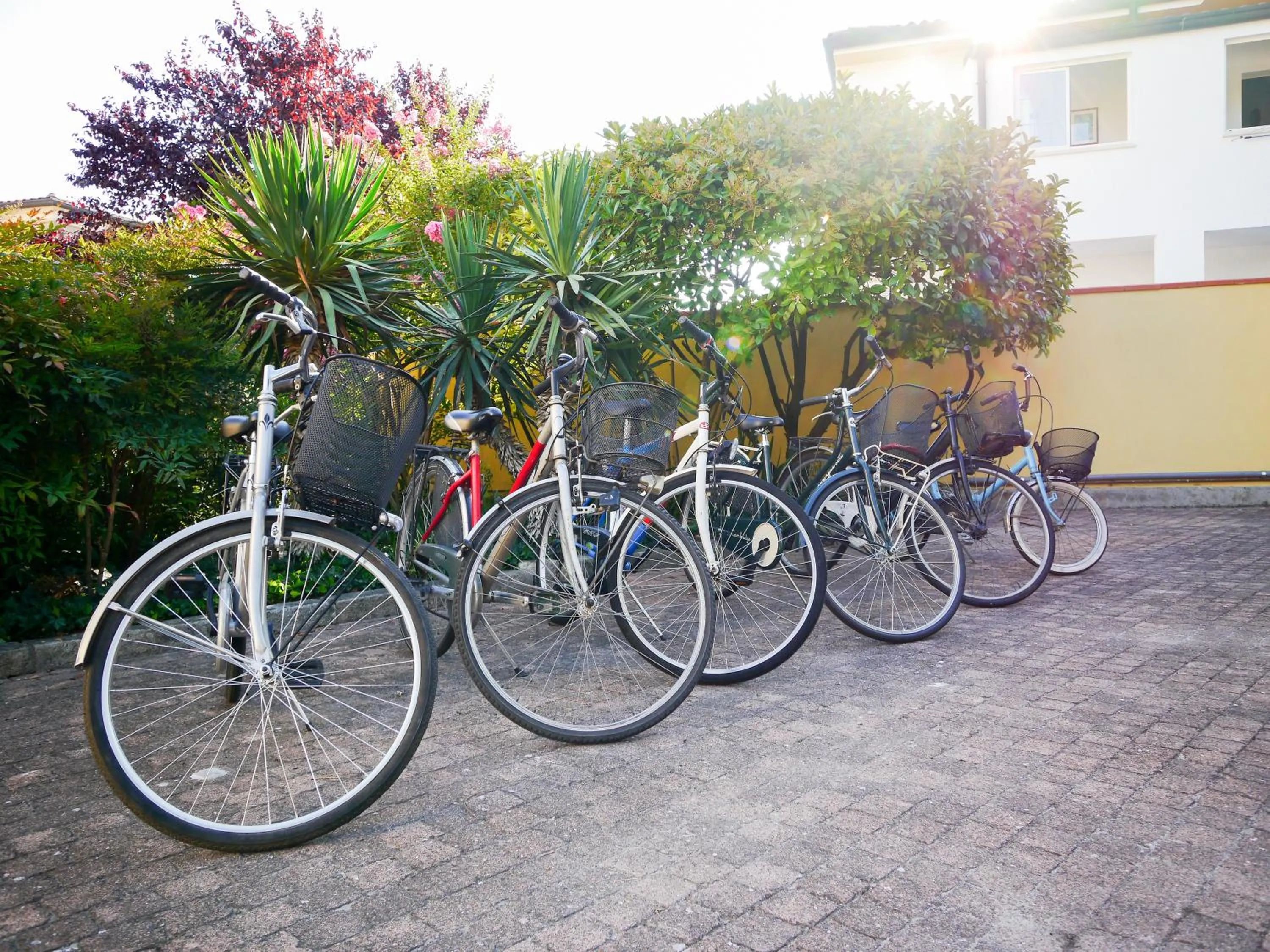 Garden in Villa Bellini Room&Breakfast
