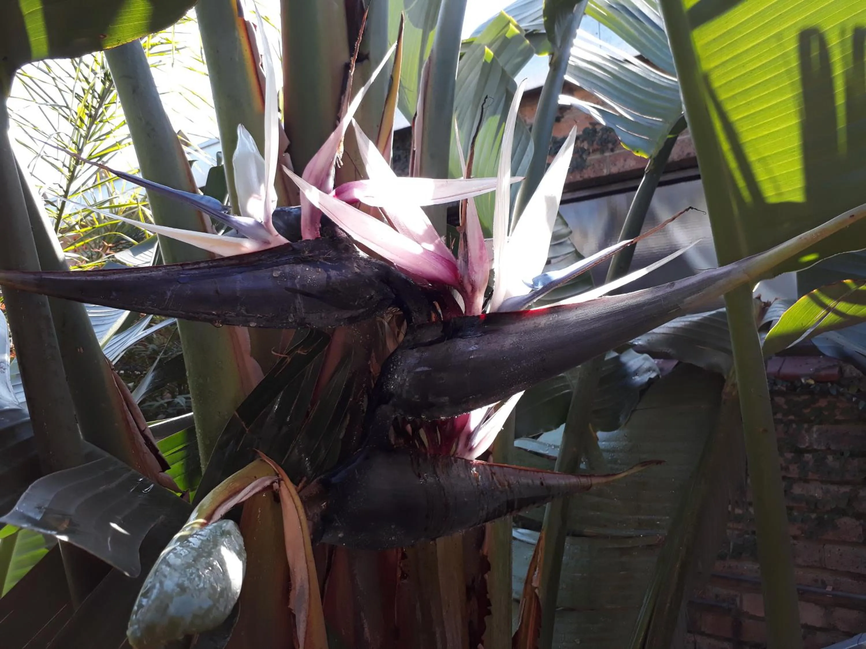 Other in Blessings Guesthouse