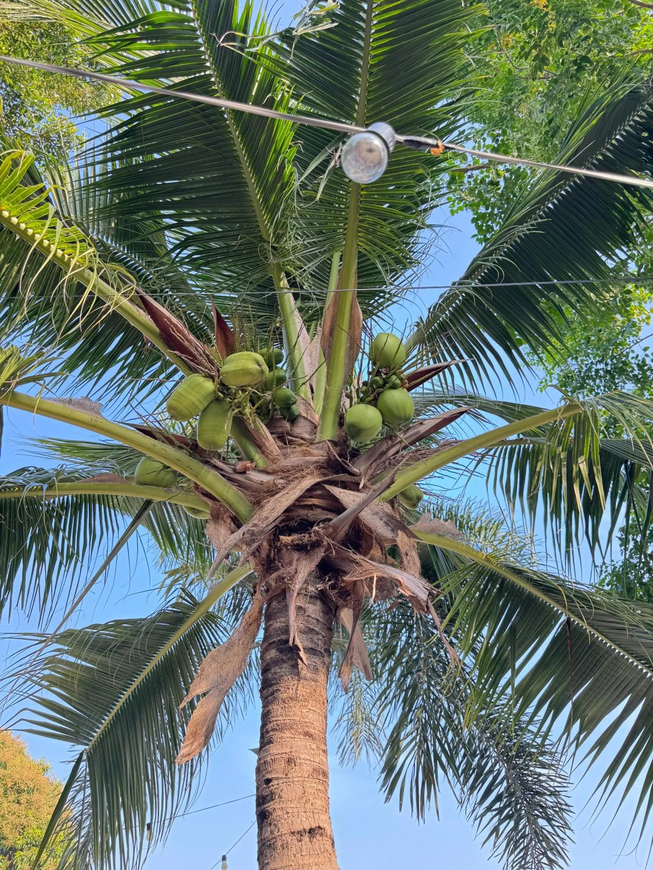 Natural landscape in Rang Noknoy Resort at Kohlarn