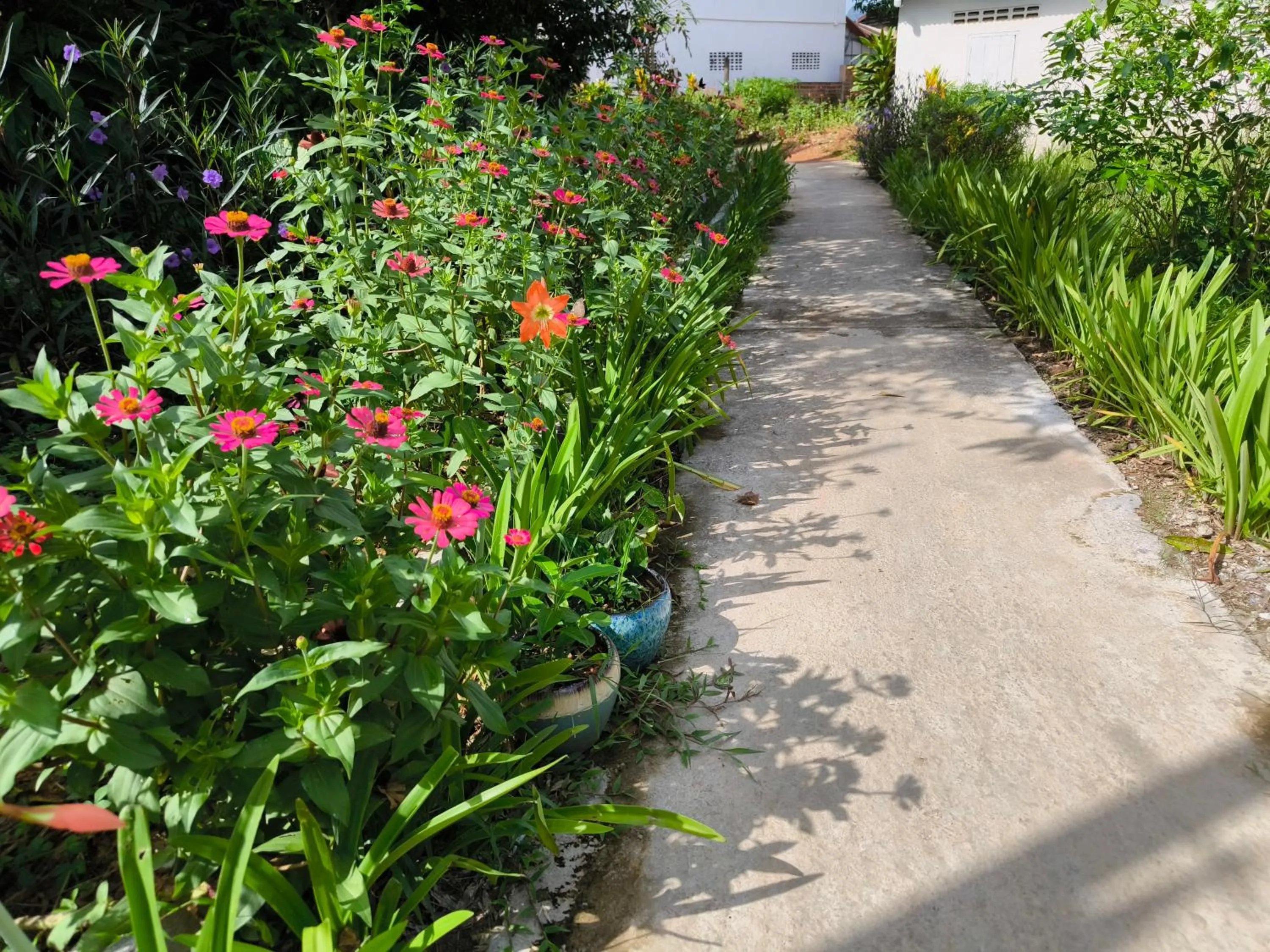 VangVieng Dokchampa Resort