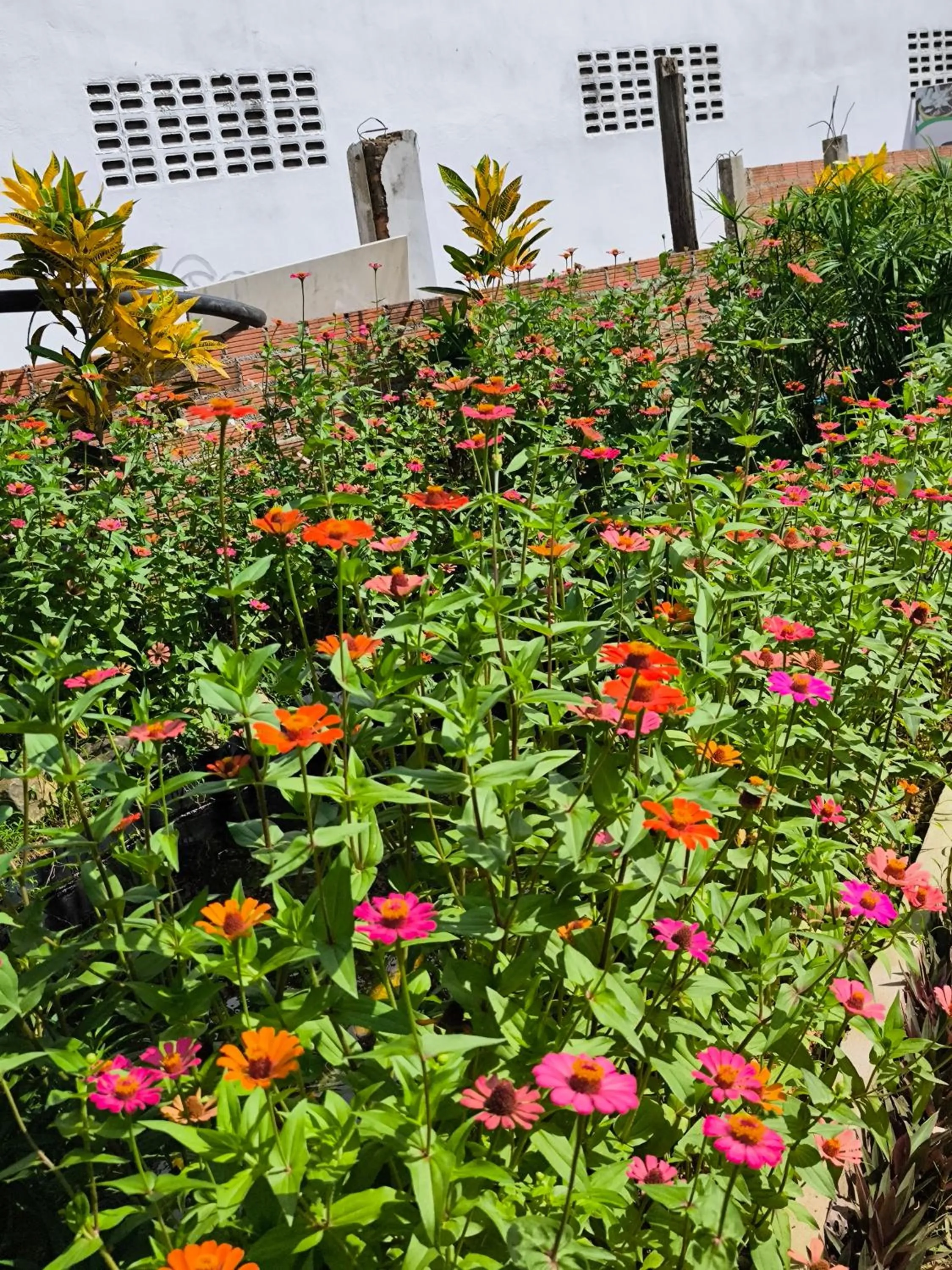 VangVieng Dokchampa Resort