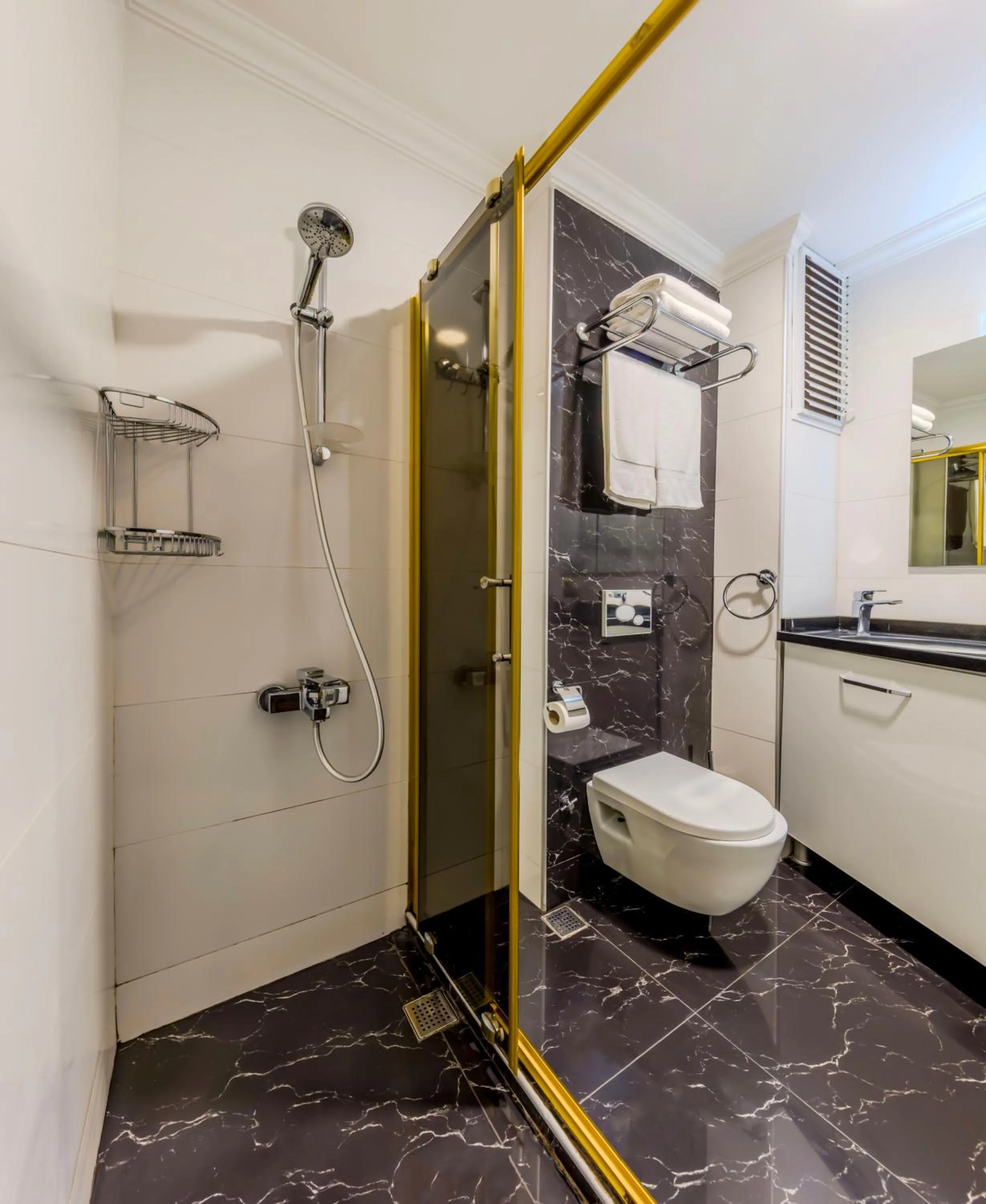 Shower in Lemis Suite Istanbul