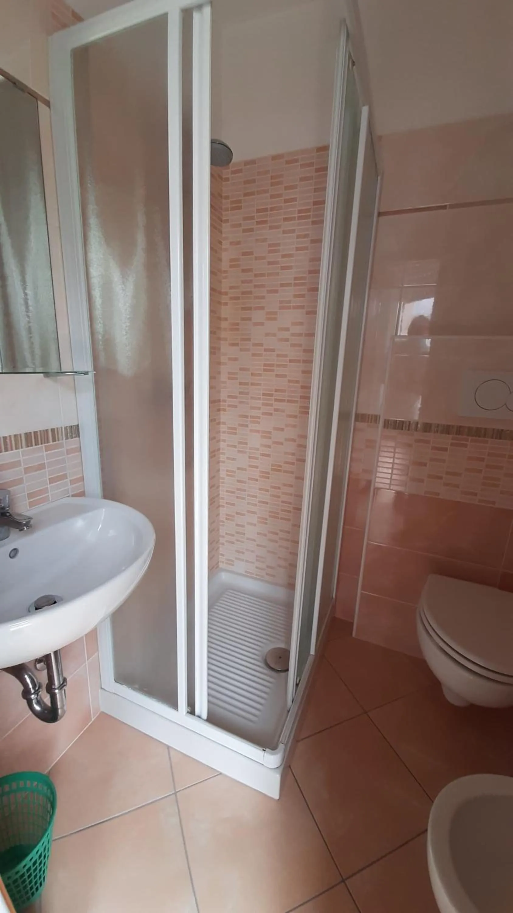 Bathroom in Hotel Luana