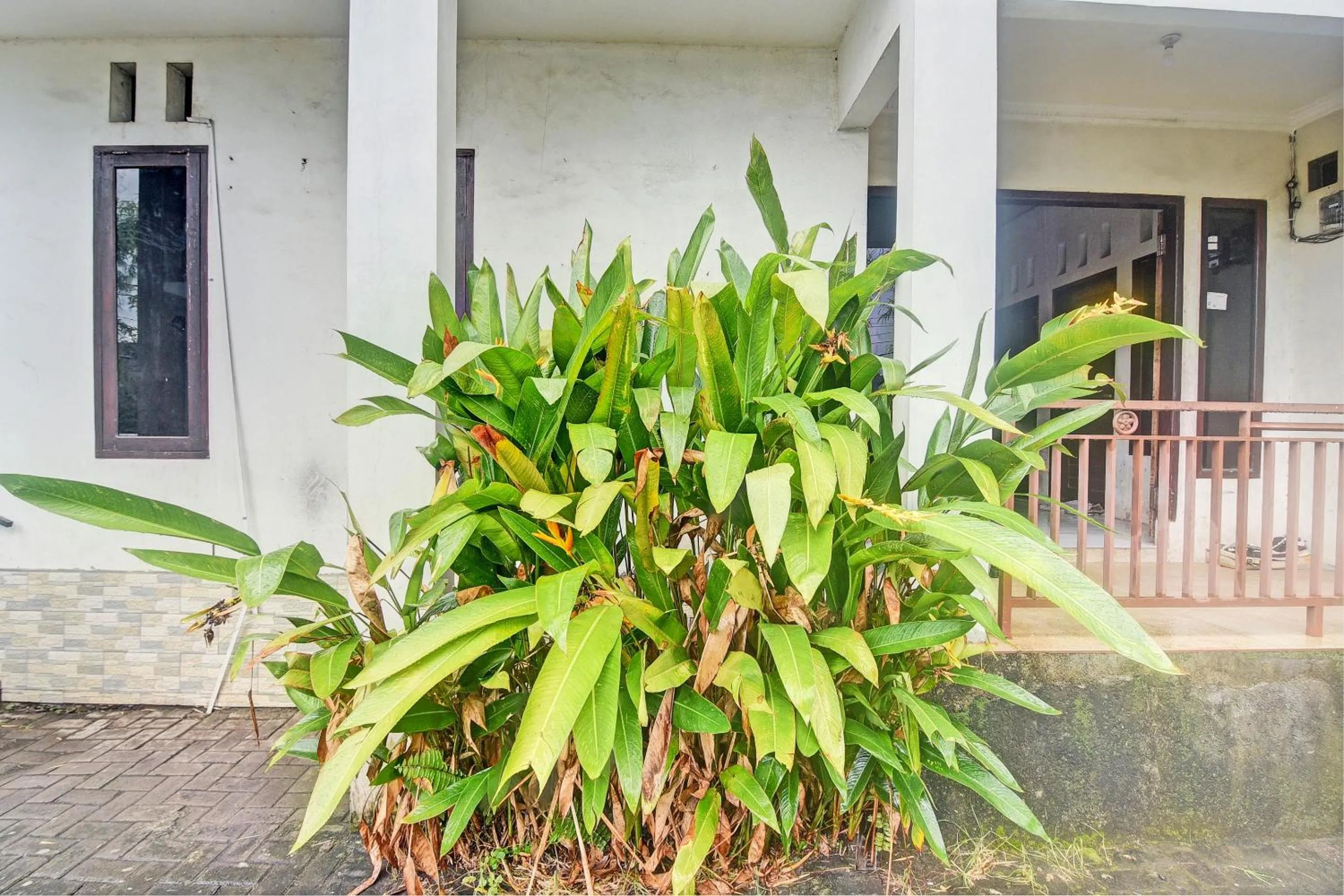 Lobby or reception in Hotel O Kost 99