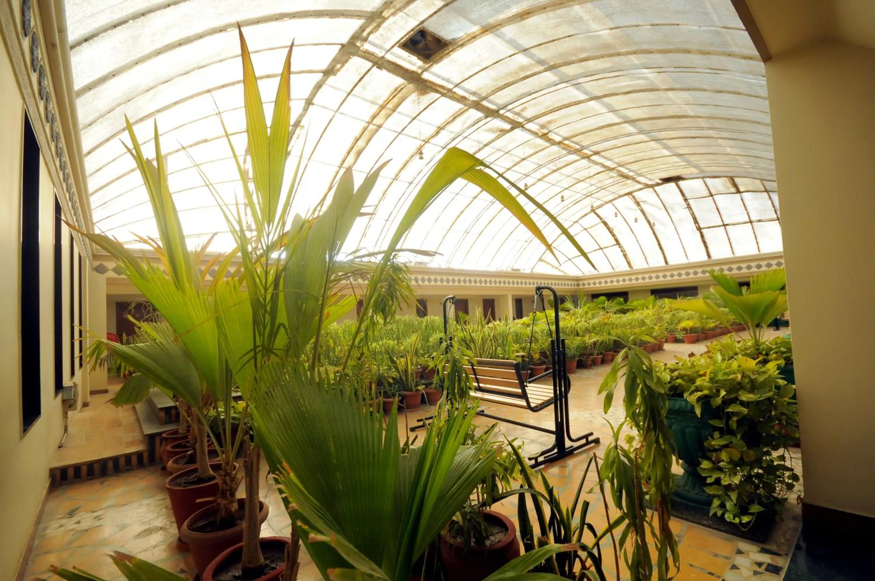 Garden in The Grand Regency