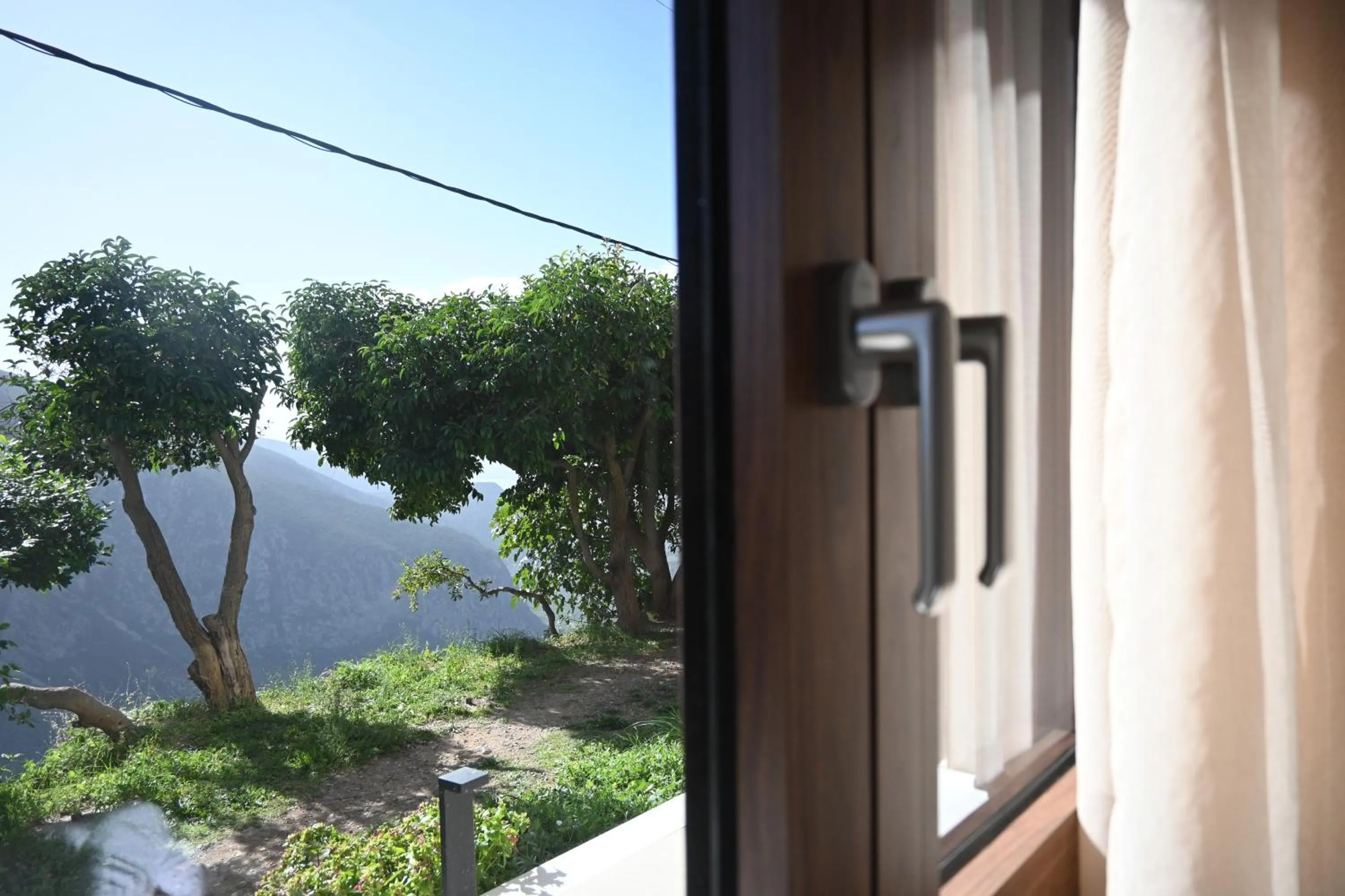 Garden view in Komody Apartments