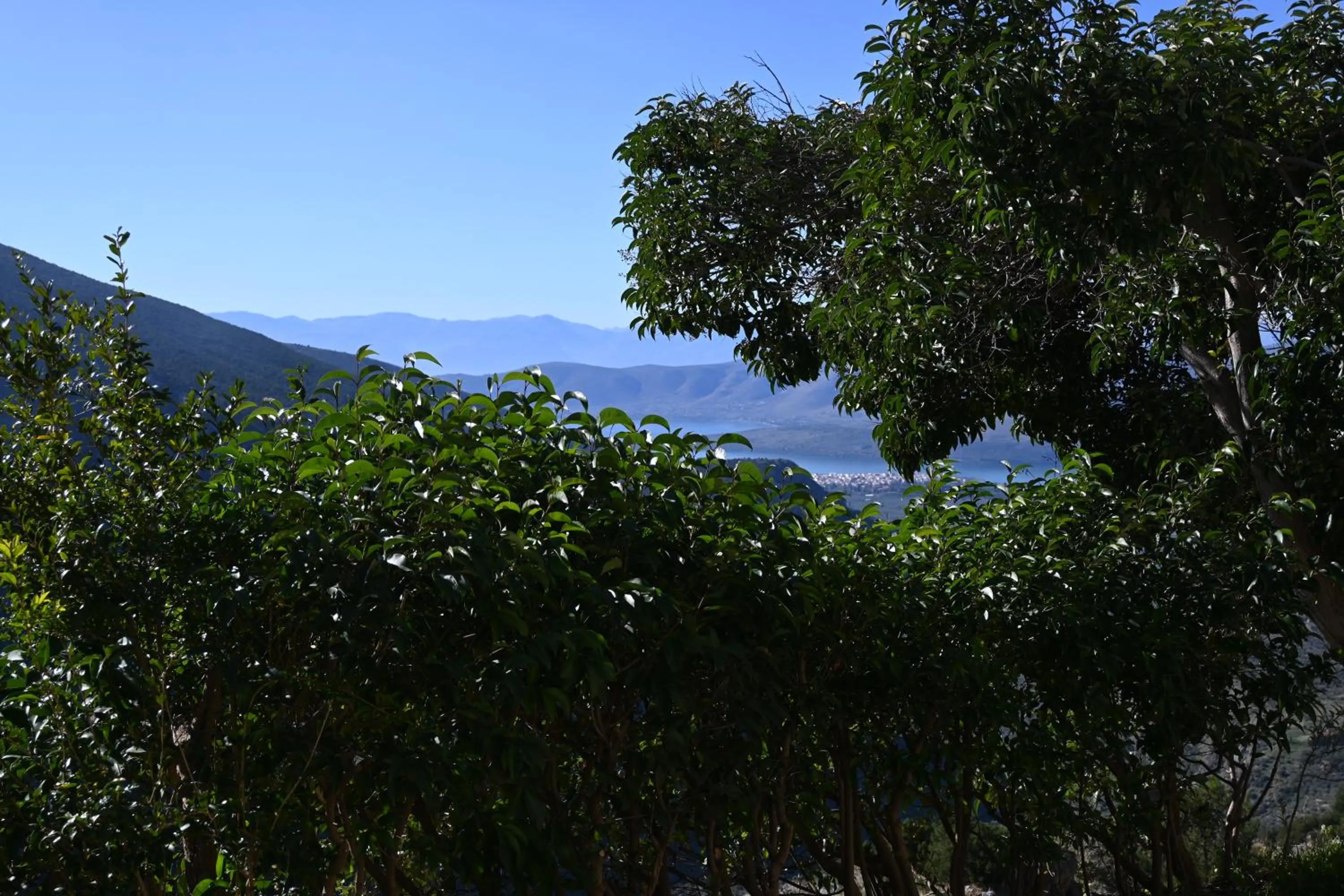 View (from property/room) in Komody Apartments