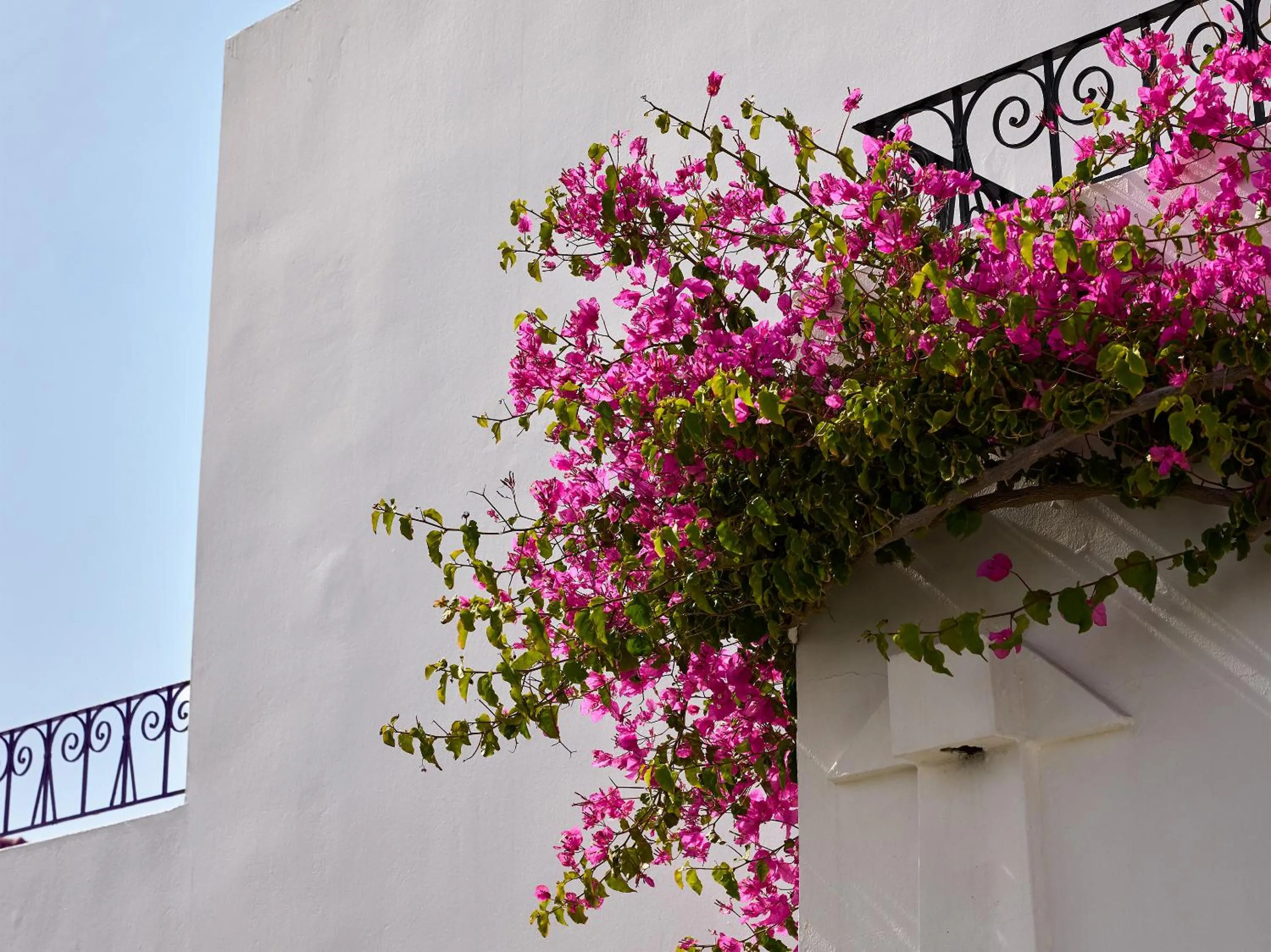 Decorative detail in Caramel, A Grecotel Resort to Live