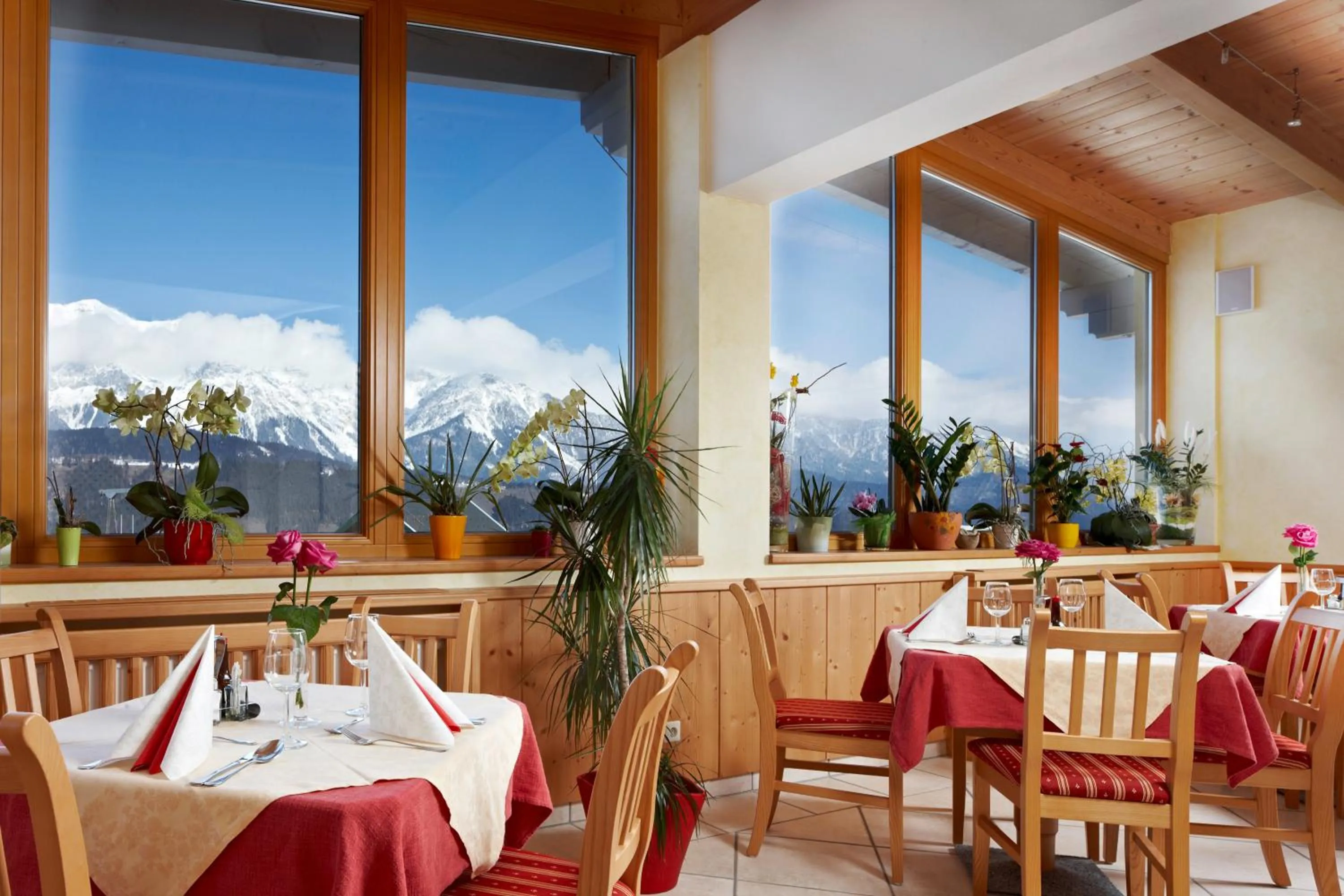 Restaurant/places to eat in Hotel Moser